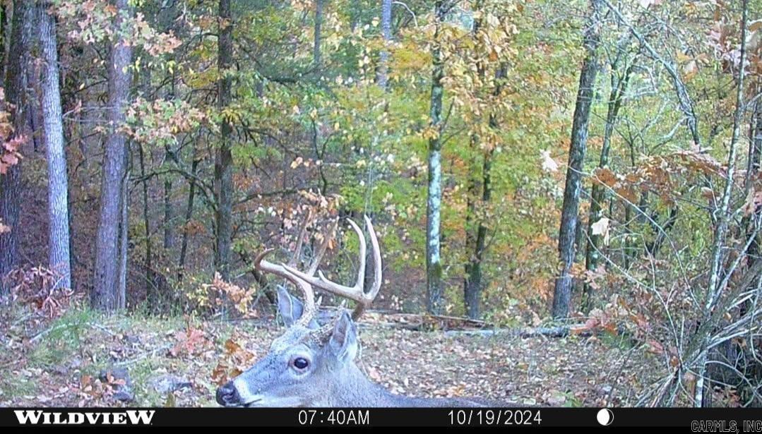 18497 Highway 123  Hagarville, AR