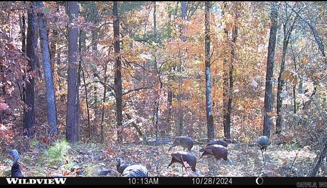 18497 Highway 123  Hagarville, AR