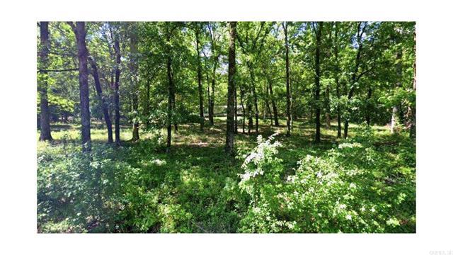 2111  Backbone  Cabot, AR