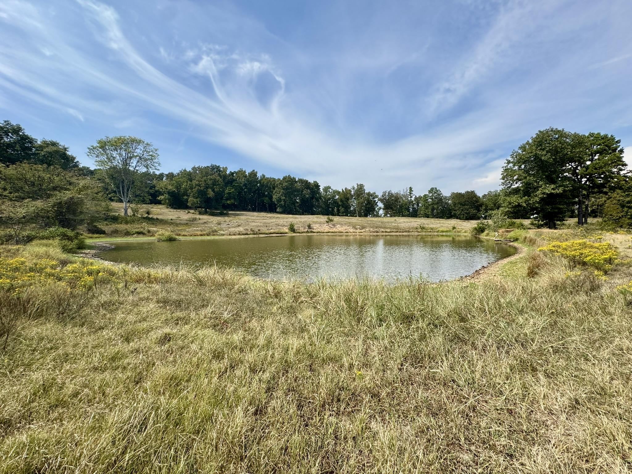 110 Mount Olive Road  Melbourne, AR