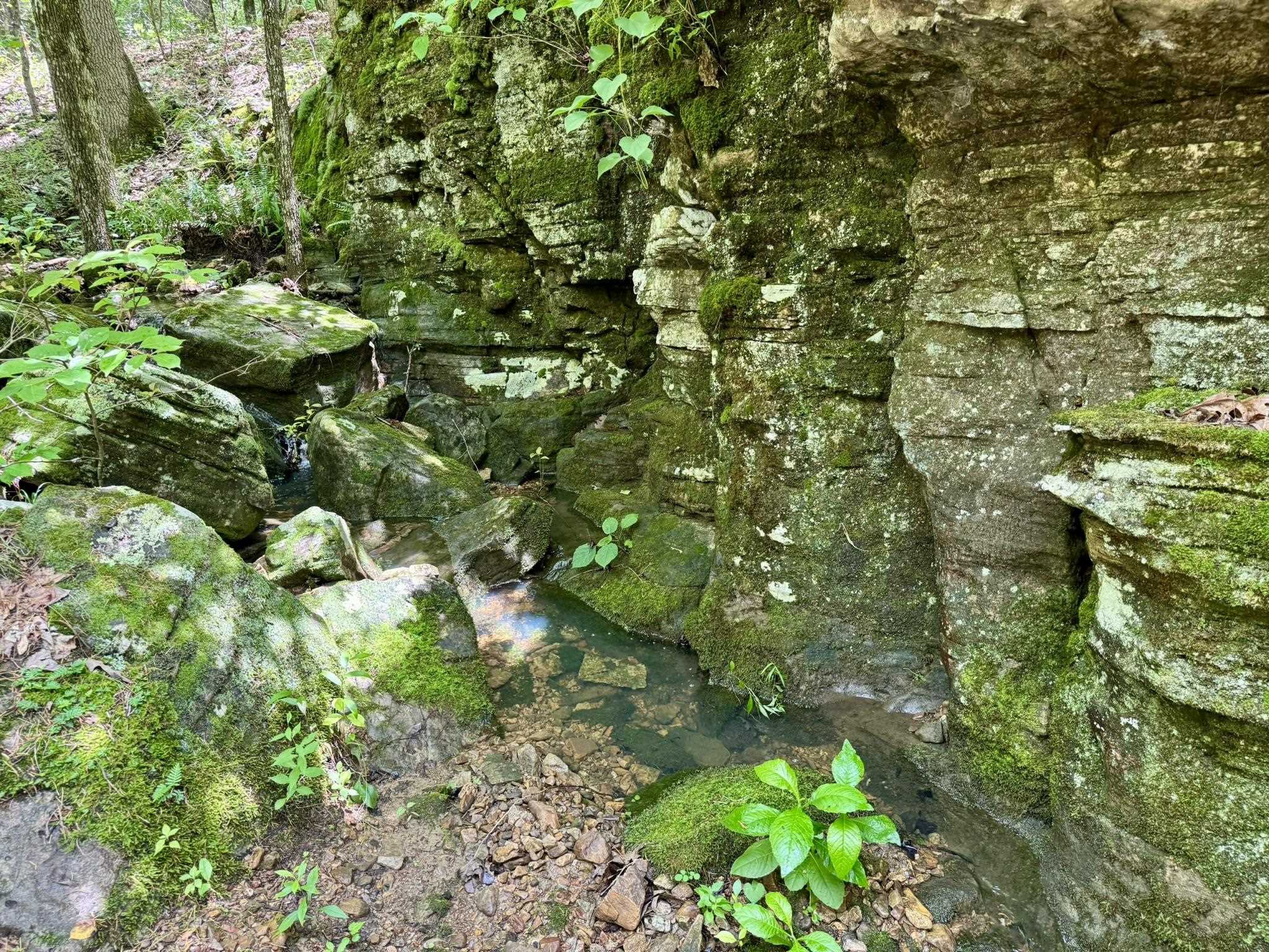 110 Mount Olive Road  Melbourne, AR