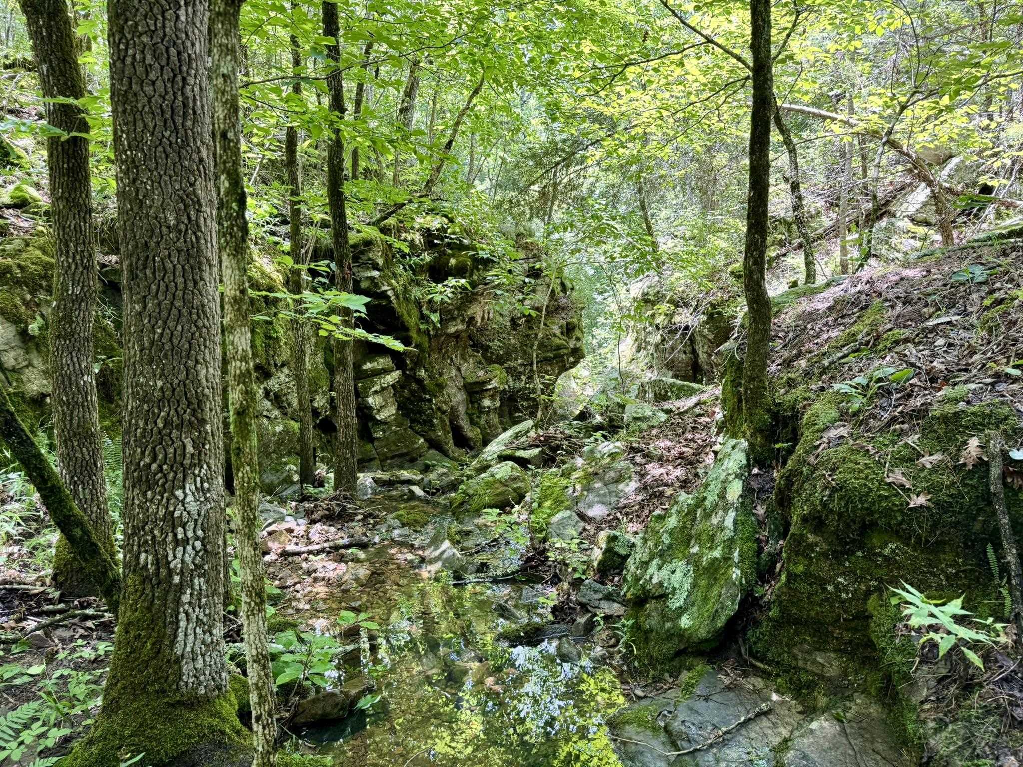 110 Mount Olive Road  Melbourne, AR