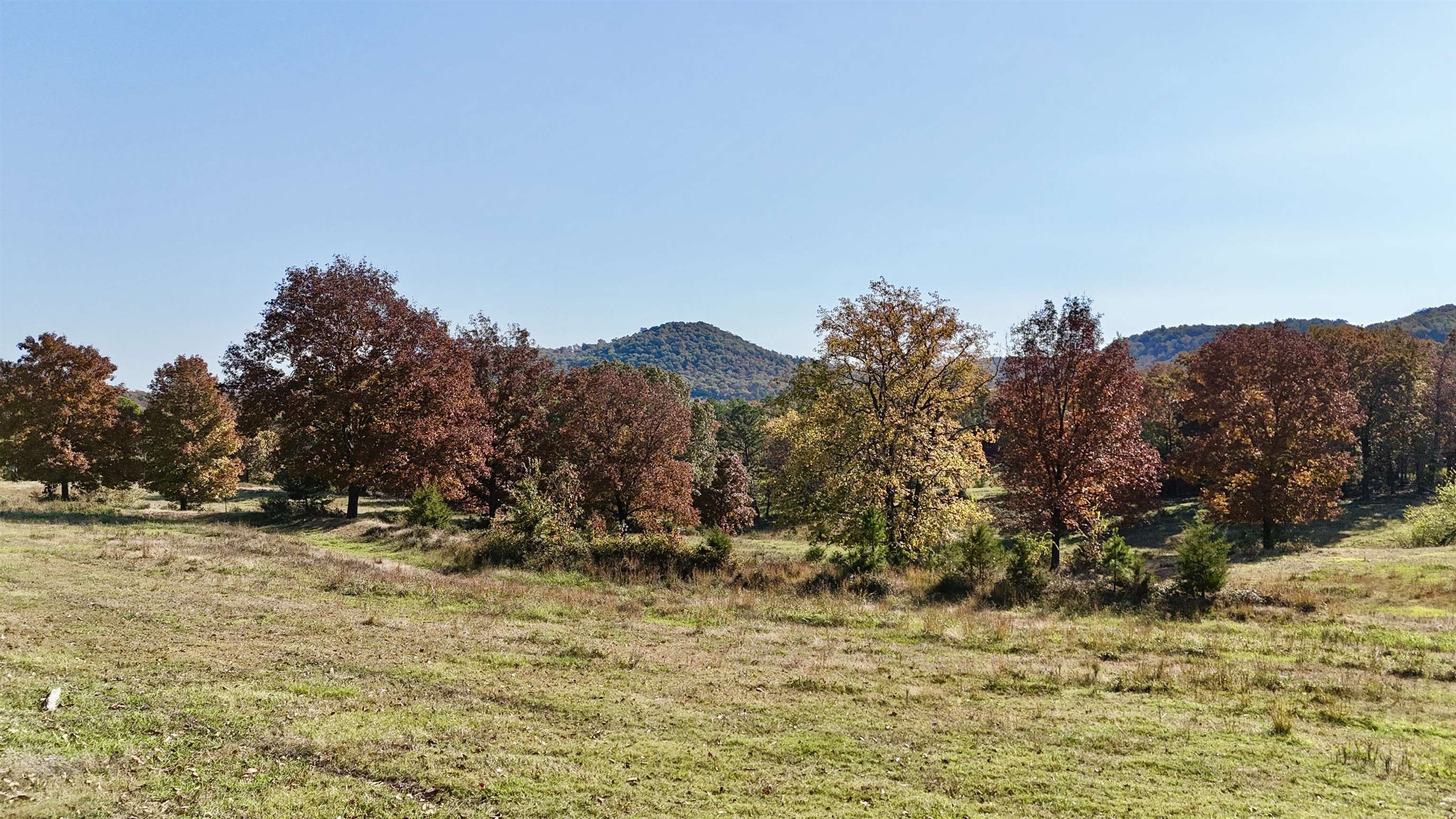 110 Mount Olive Road  Melbourne, AR