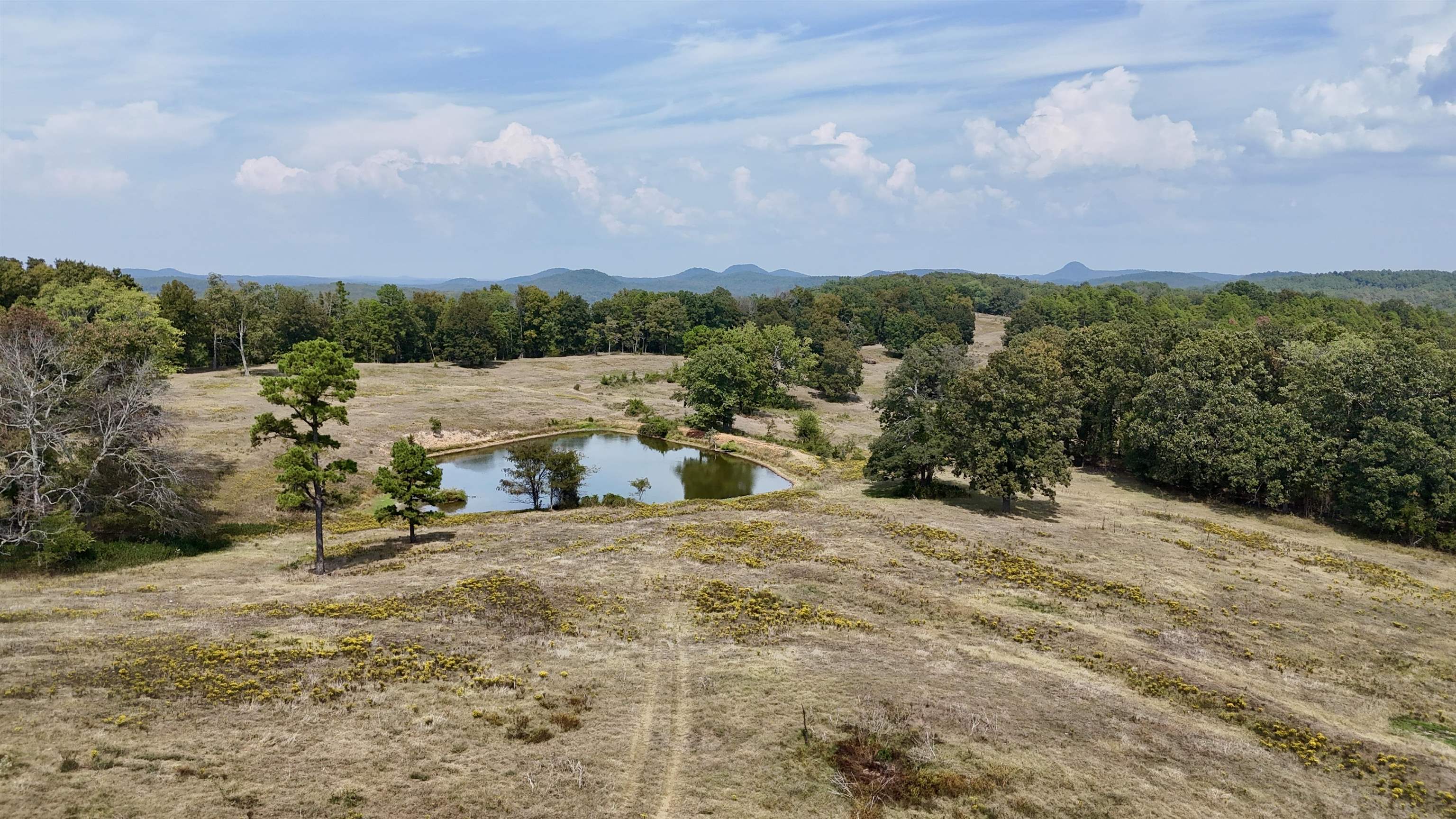 110 Mount Olive Road  Melbourne, AR