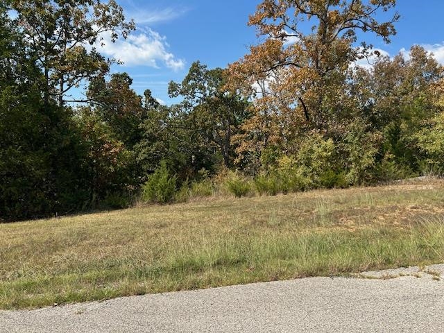 TBD Concord Ln  Mountain Home, AR
