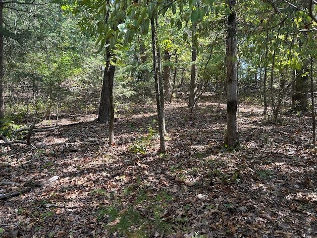 TBD Concord Ln  Mountain Home, AR