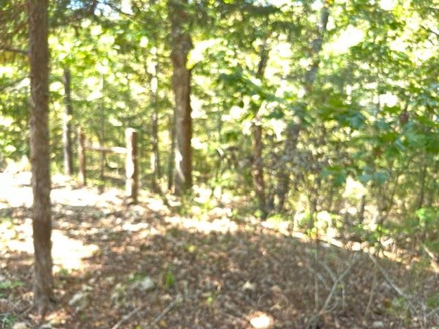 TBD Concord Ln  Mountain Home, AR
