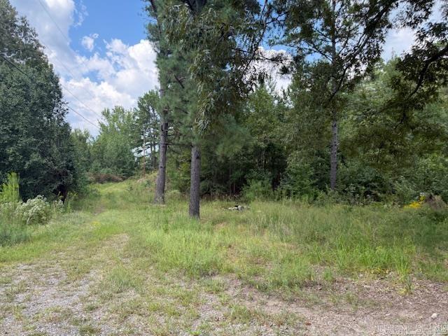 54 Shurley  Austin, AR