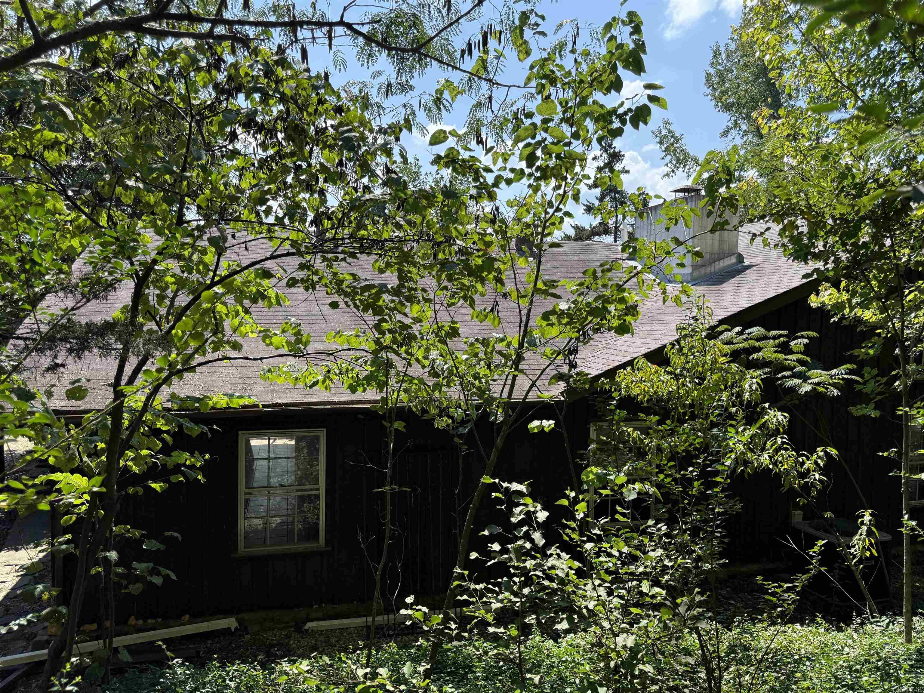 511 Warner Avenue Mena, AR 71953