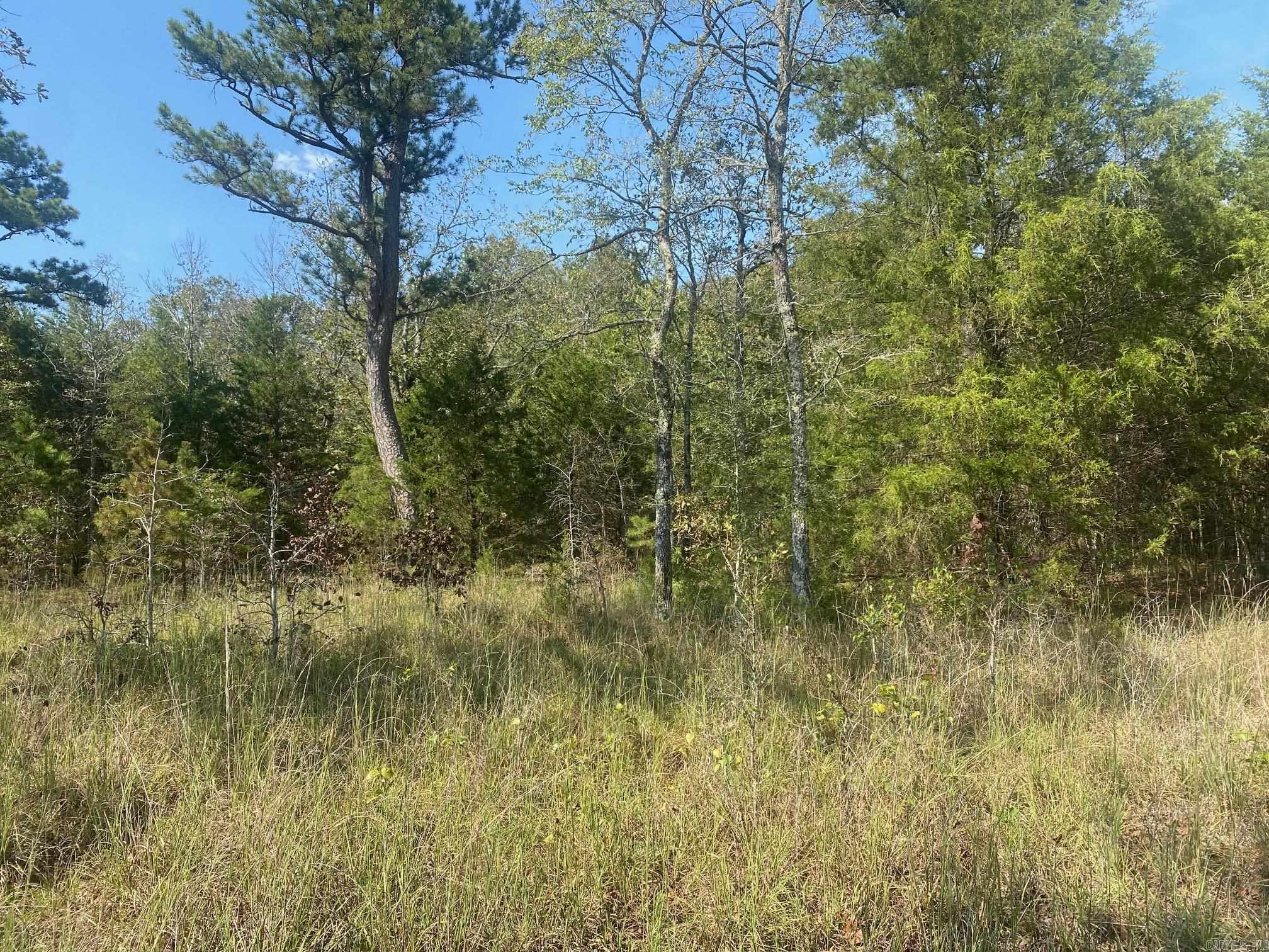 872 Edgemont Rd  Quitman, AR