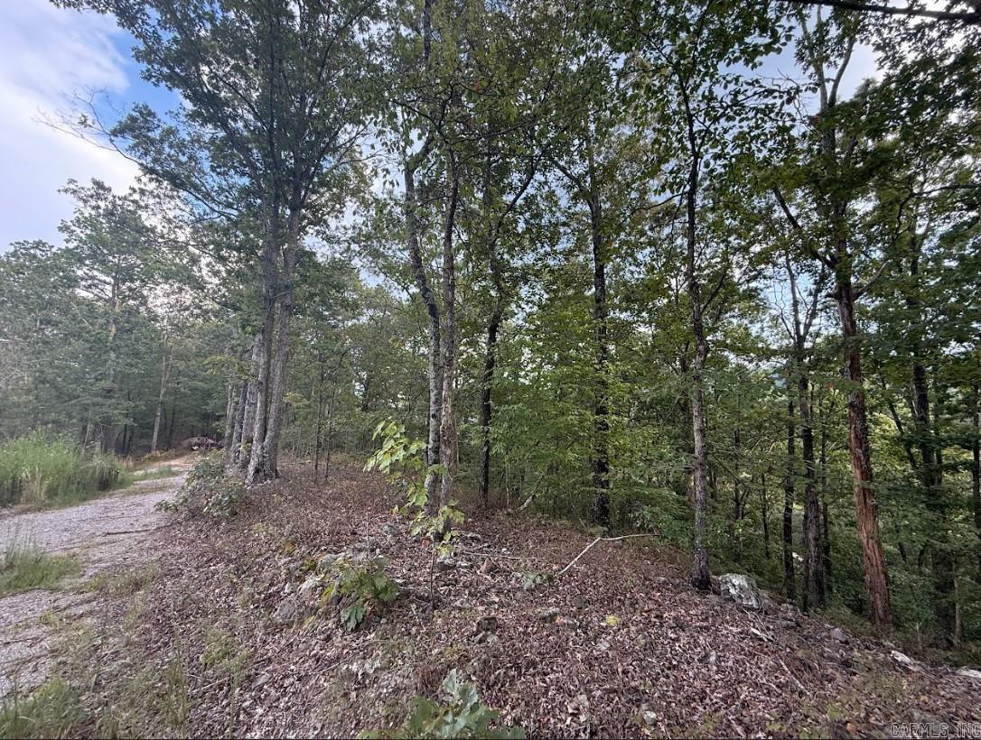 321 Plata Holw  Royal, AR