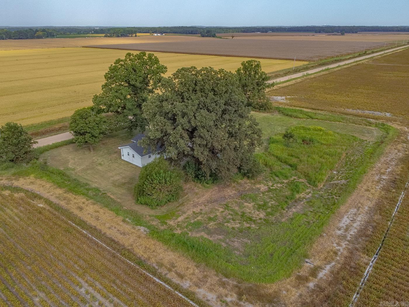 955 Greene 914  Paragould, AR