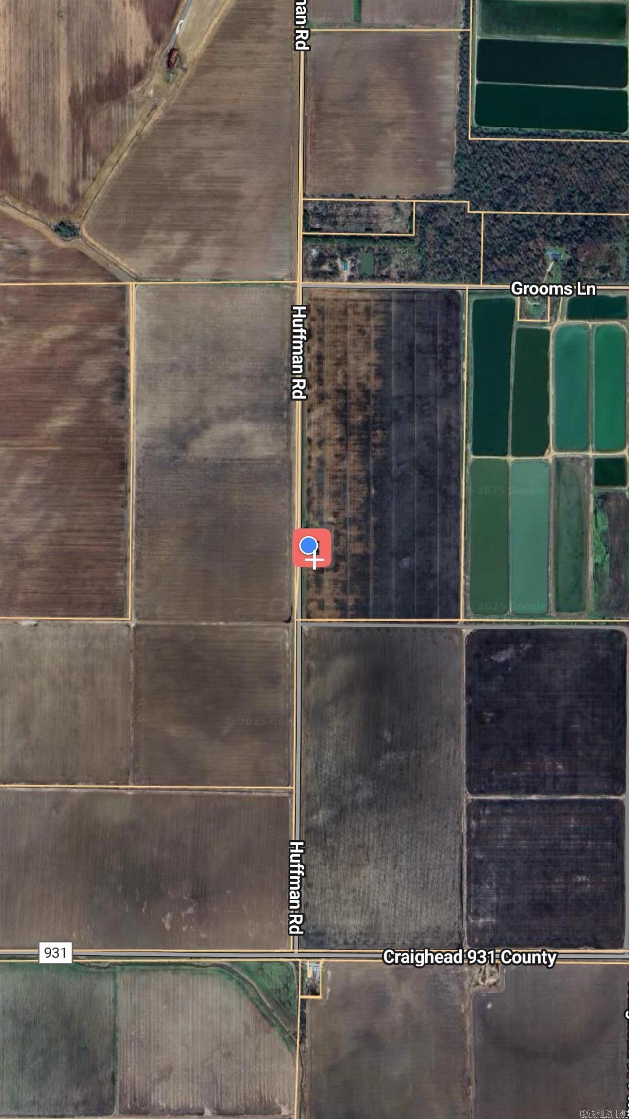 955 Greene 914  Paragould, AR