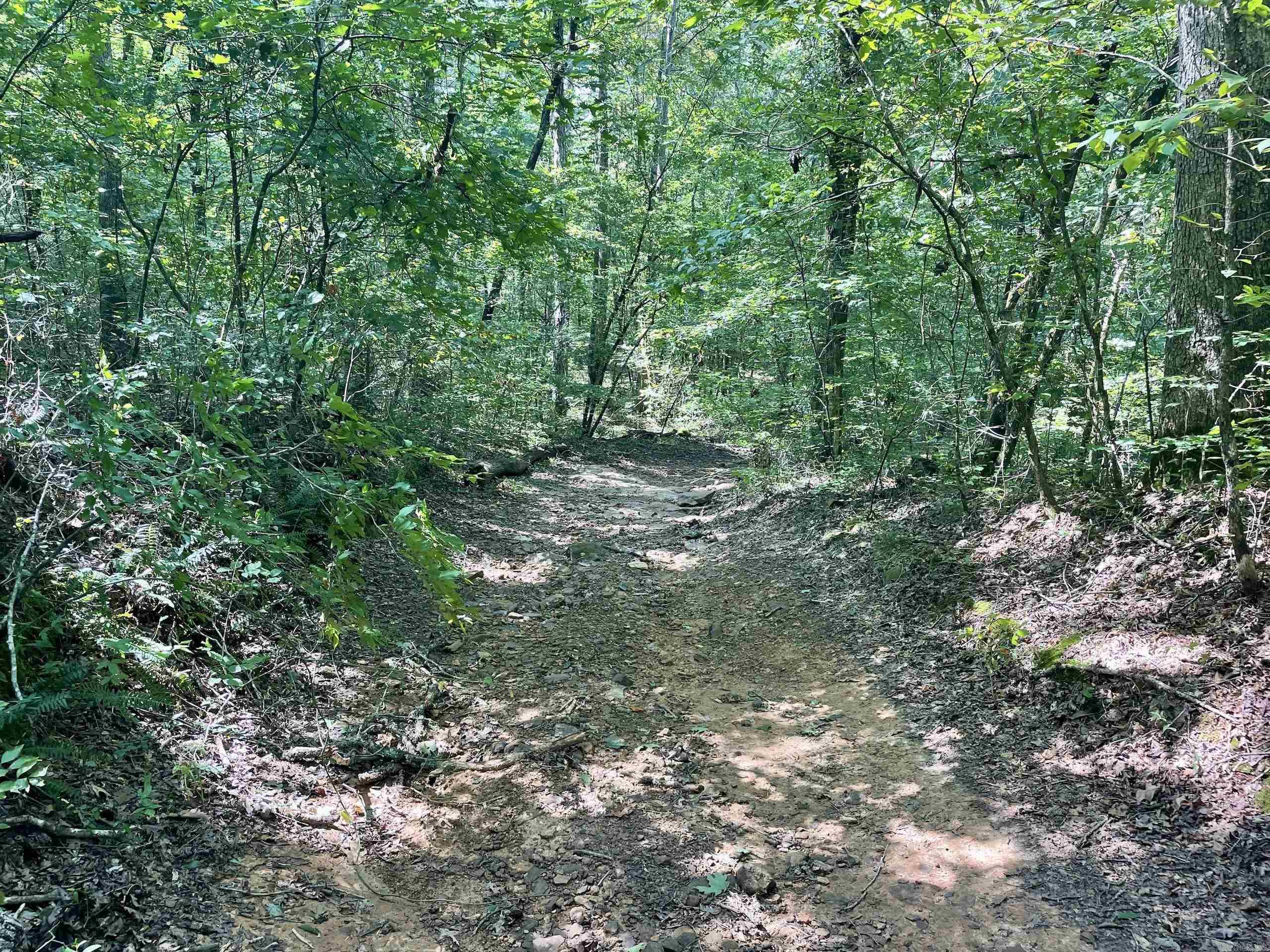  FS Road 1432  Scotland, AR