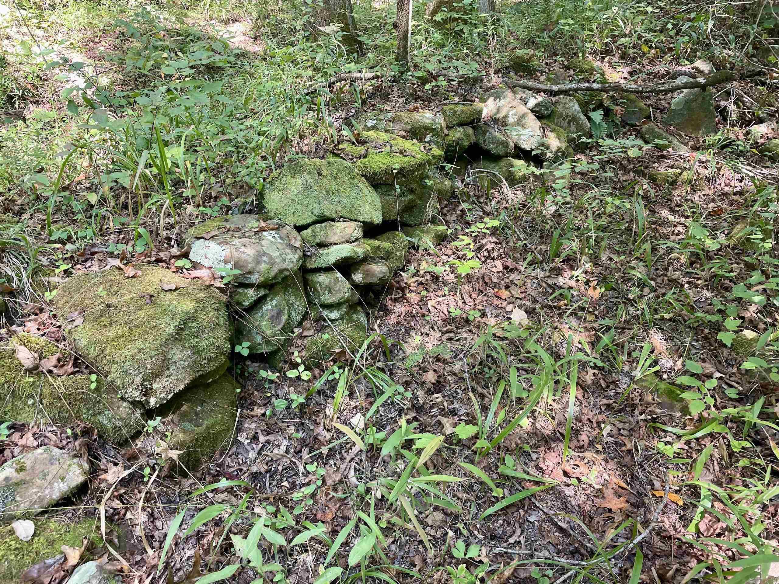  FS Road 1432  Scotland, AR