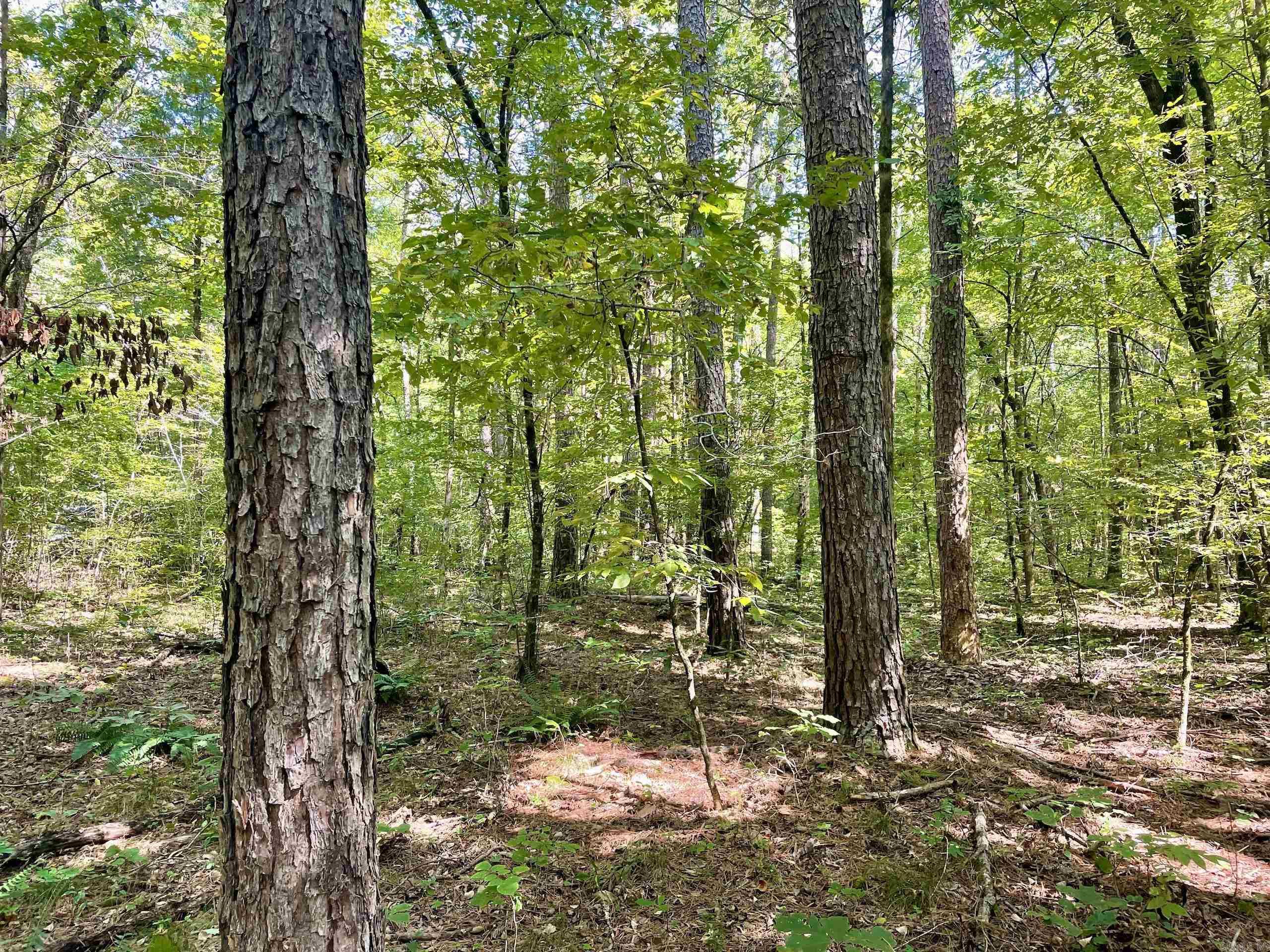  FS Road 1432  Scotland, AR