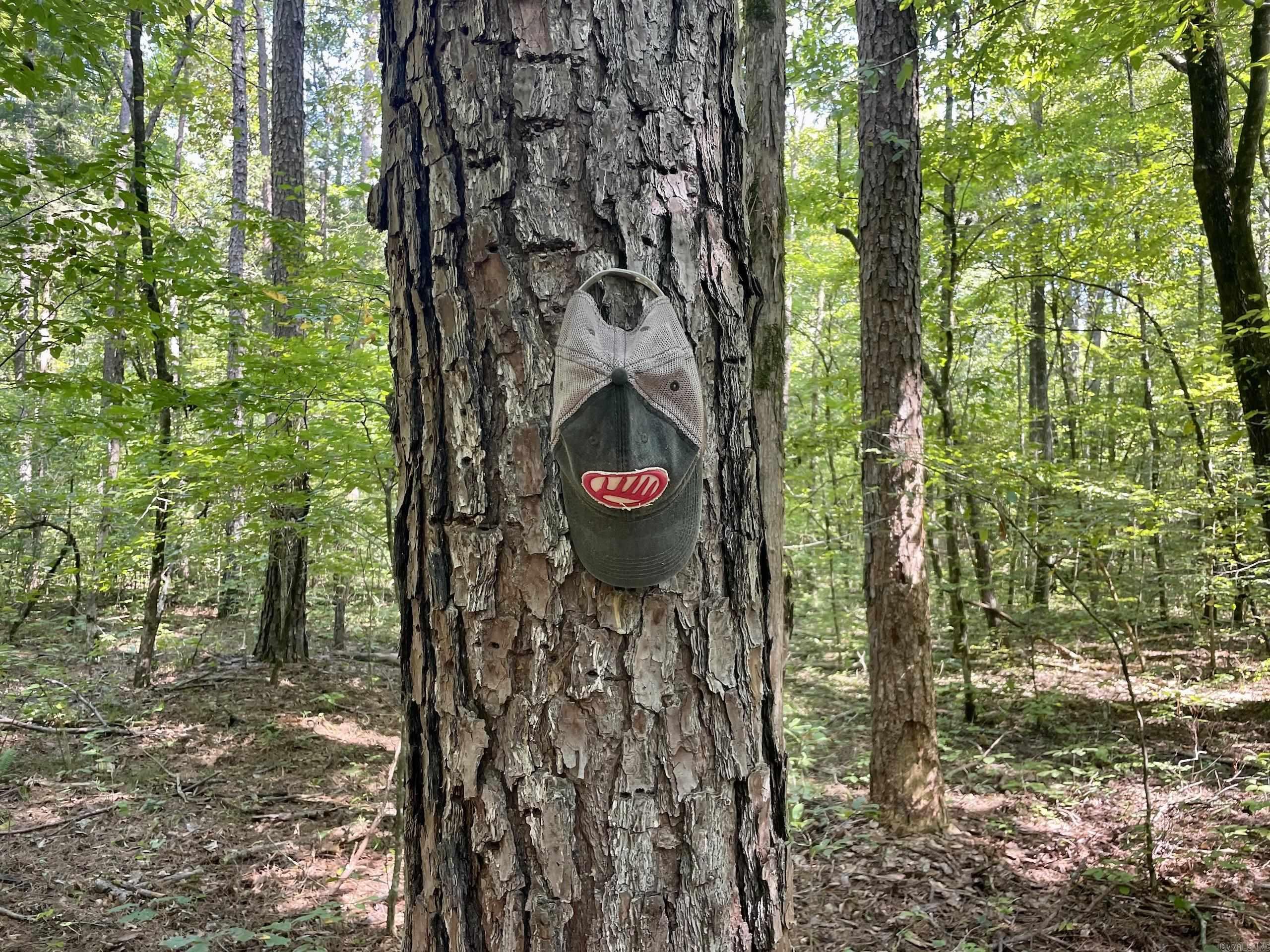  FS Road 1432  Scotland, AR