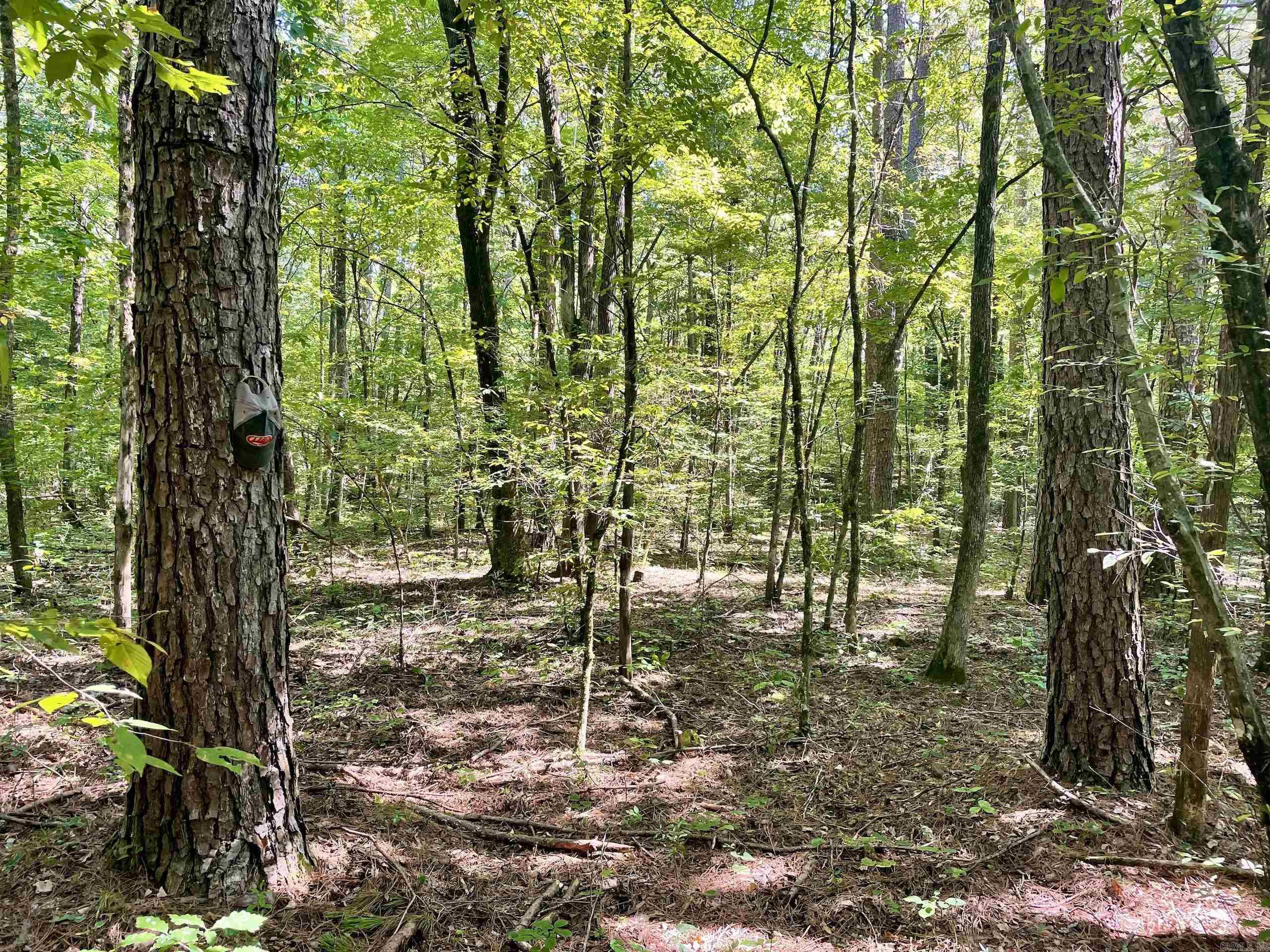  FS Road 1432  Scotland, AR
