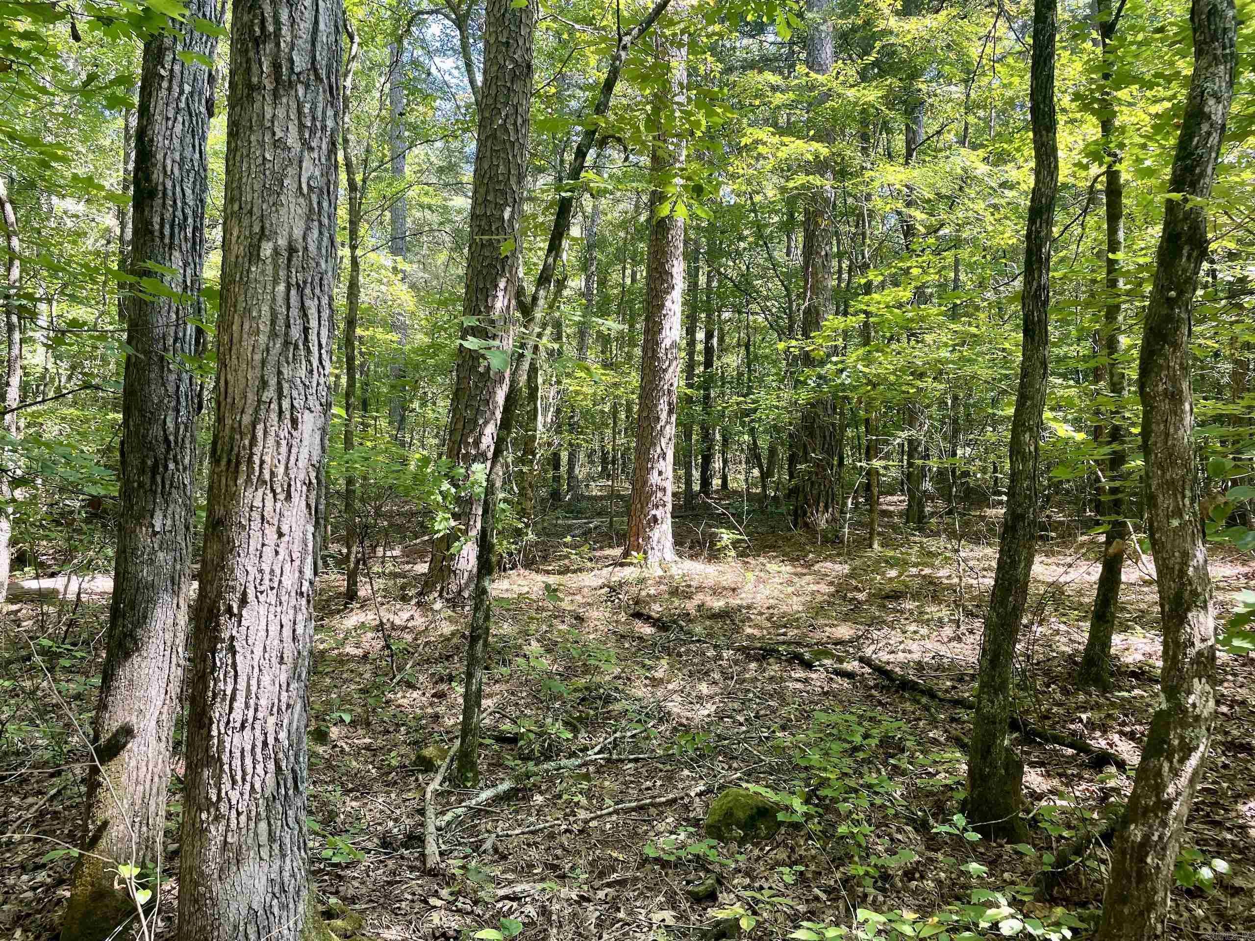  FS Road 1432  Scotland, AR