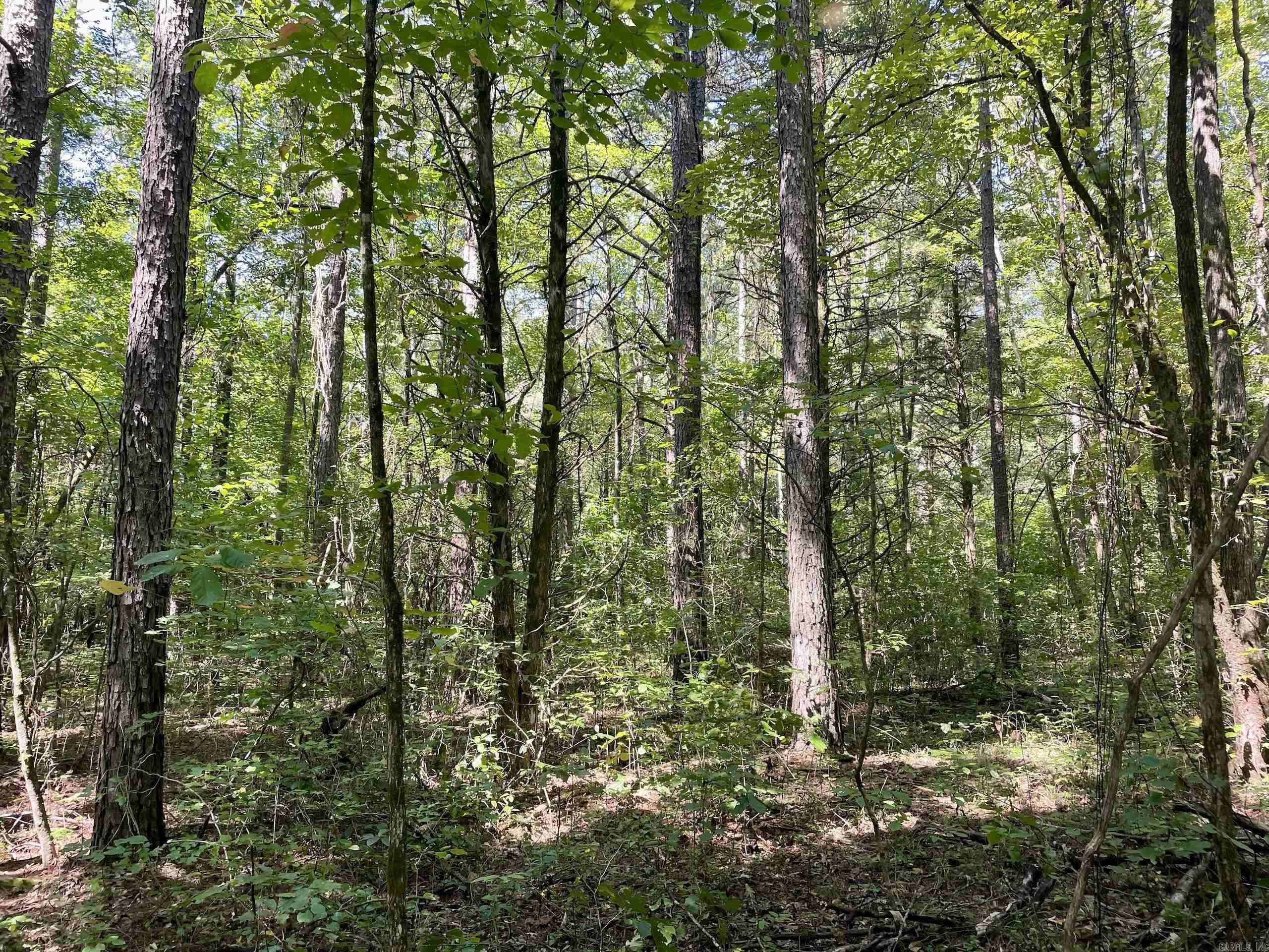  FS Road 1432  Scotland, AR