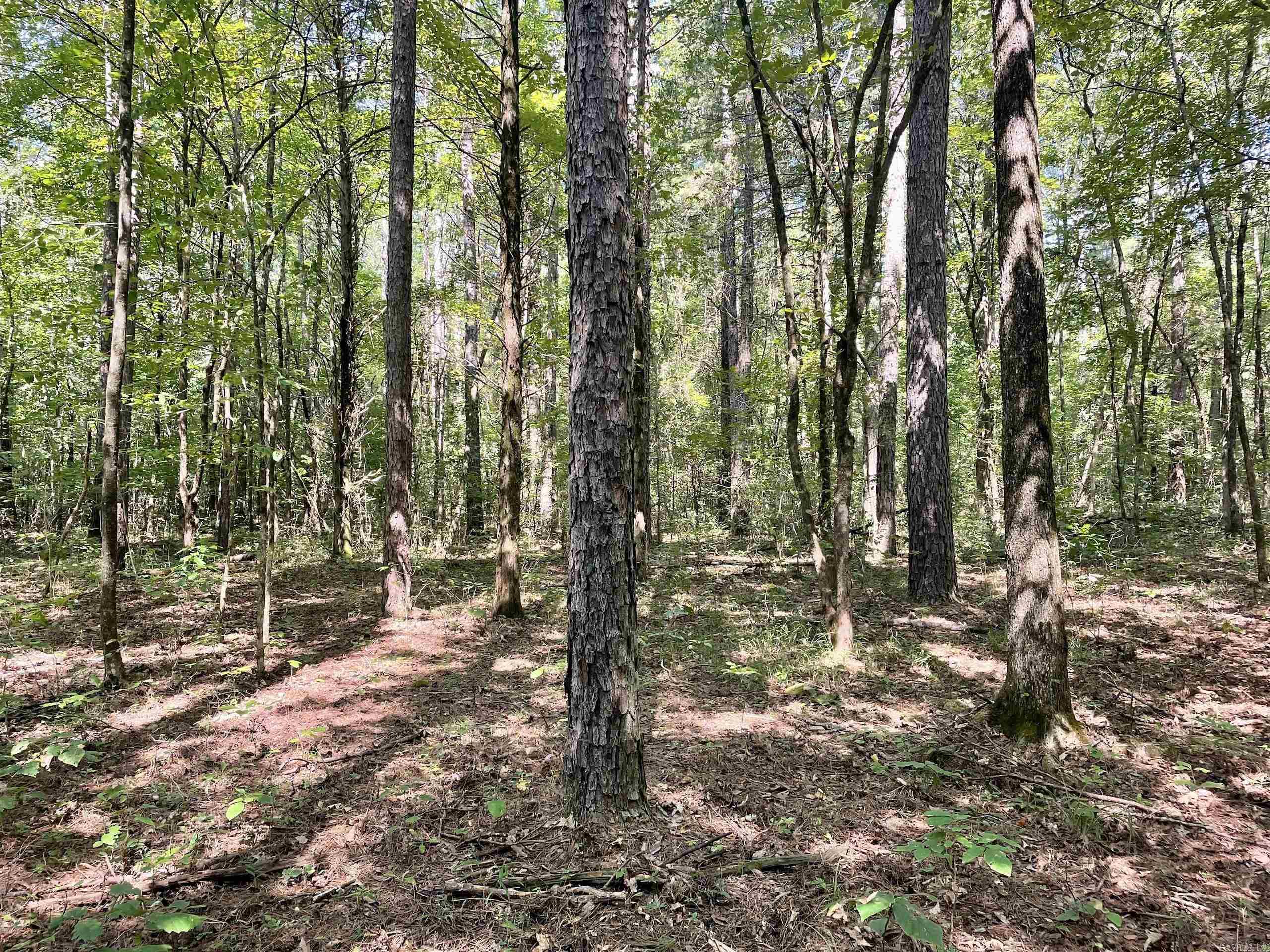  FS Road 1432  Scotland, AR