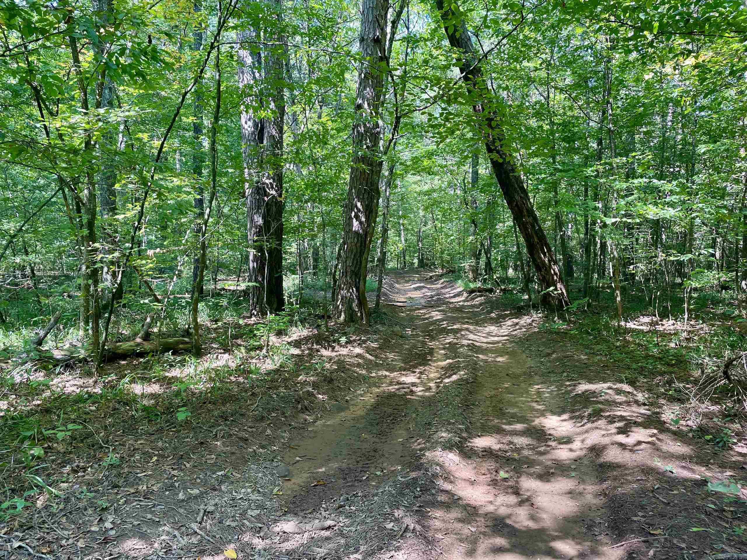  FS Road 1432  Scotland, AR