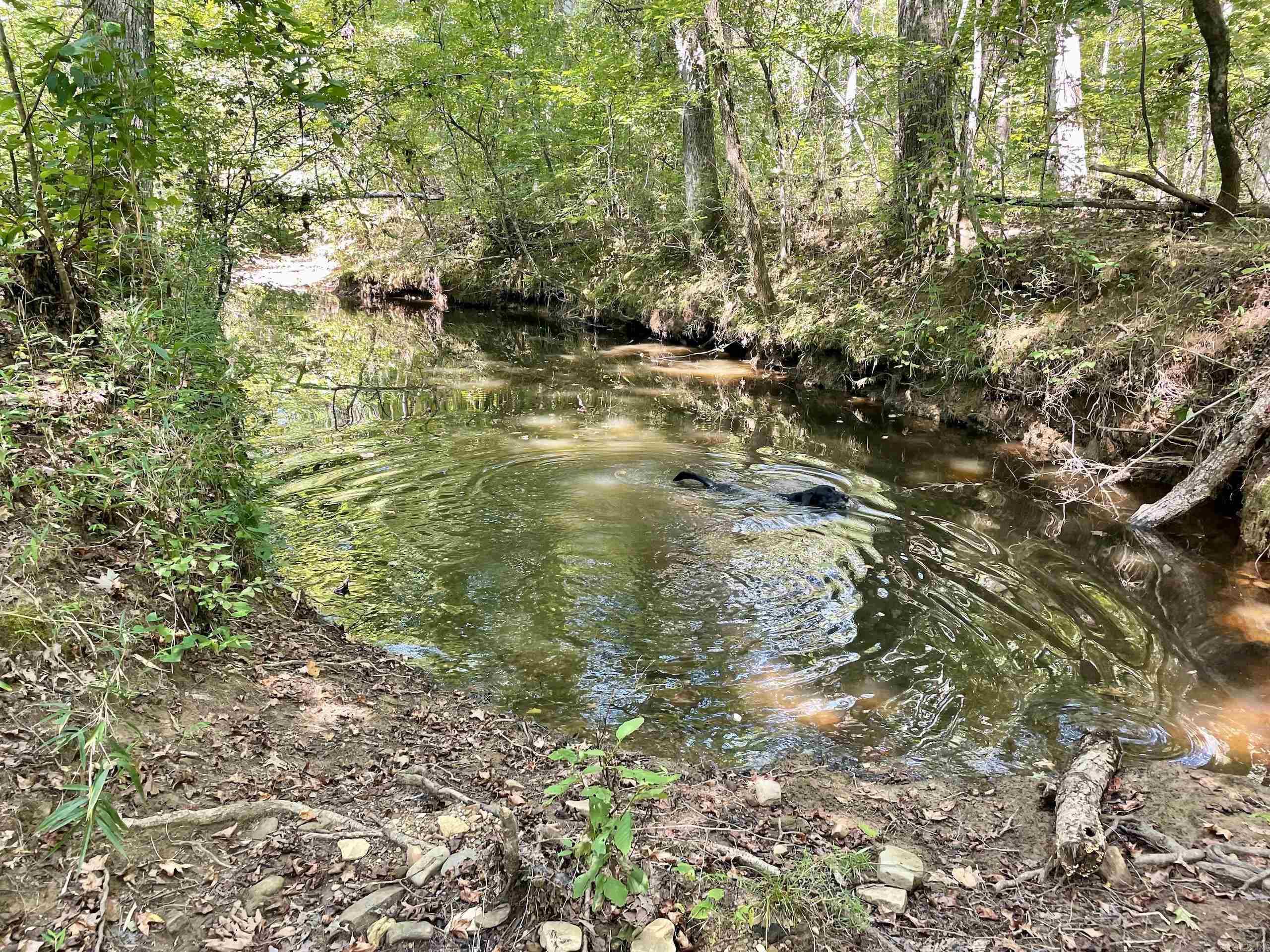  FS Road 1432  Scotland, AR