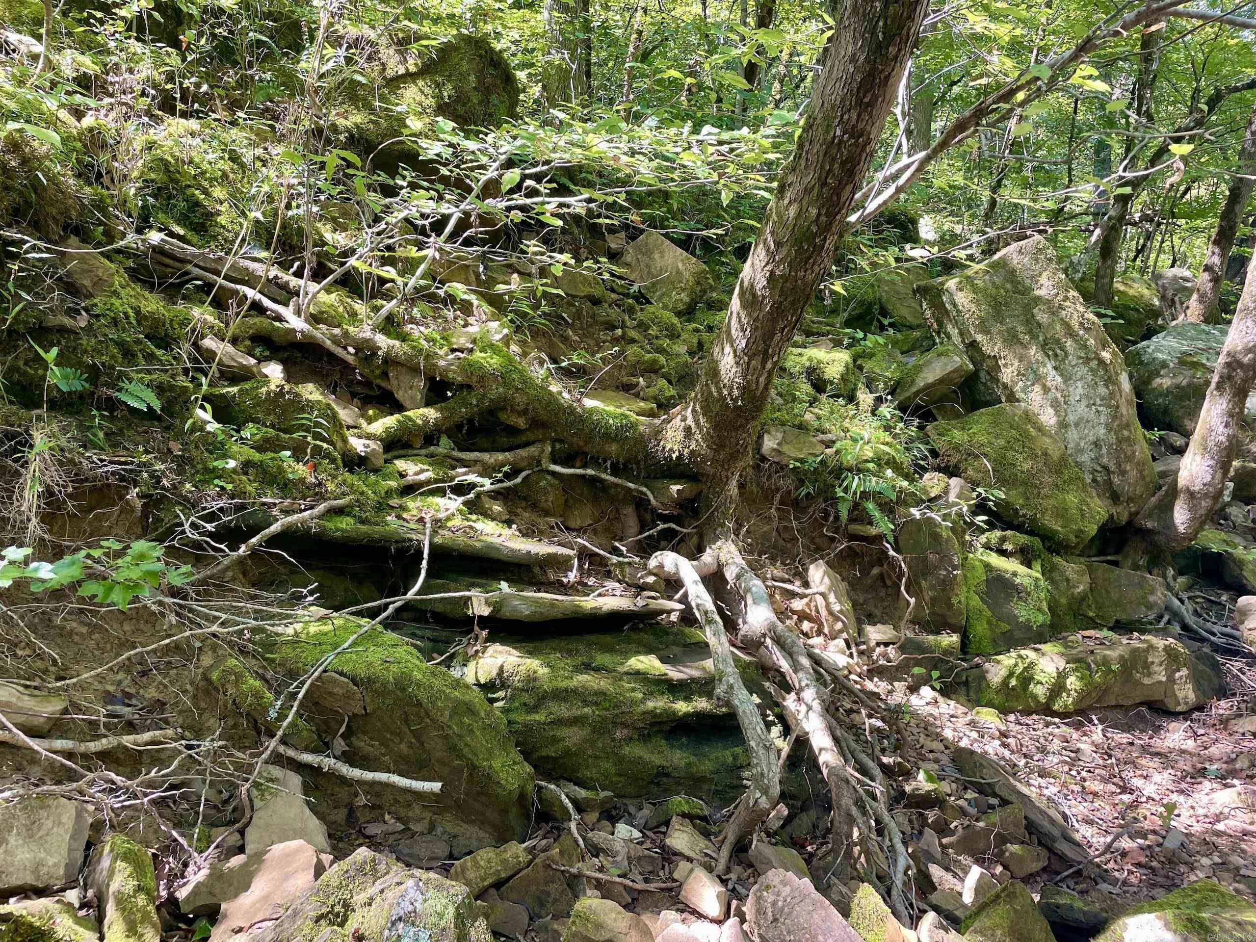  FS Road 1432  Scotland, AR