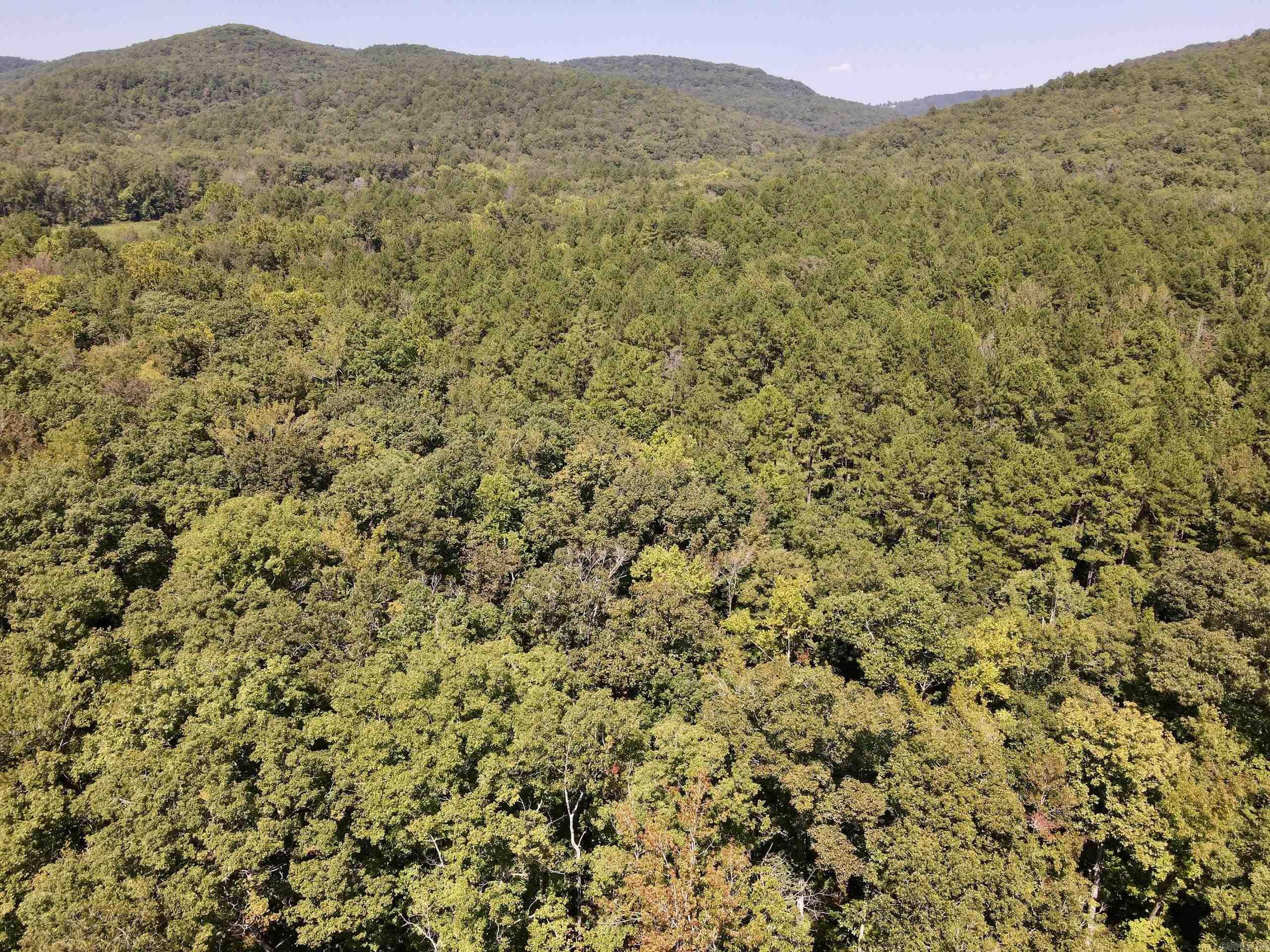  FS Road 1432  Scotland, AR