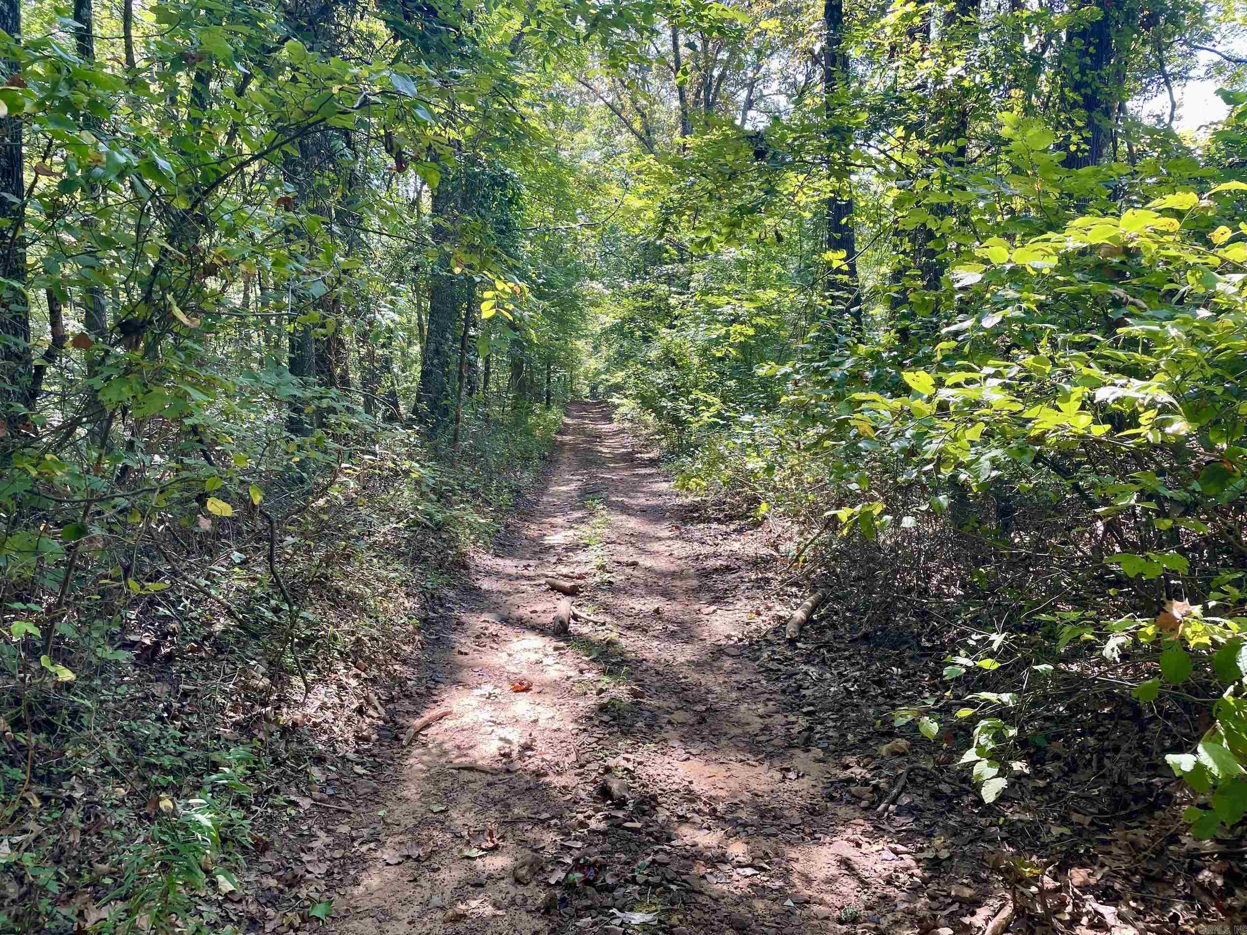  FS Road 1432  Scotland, AR