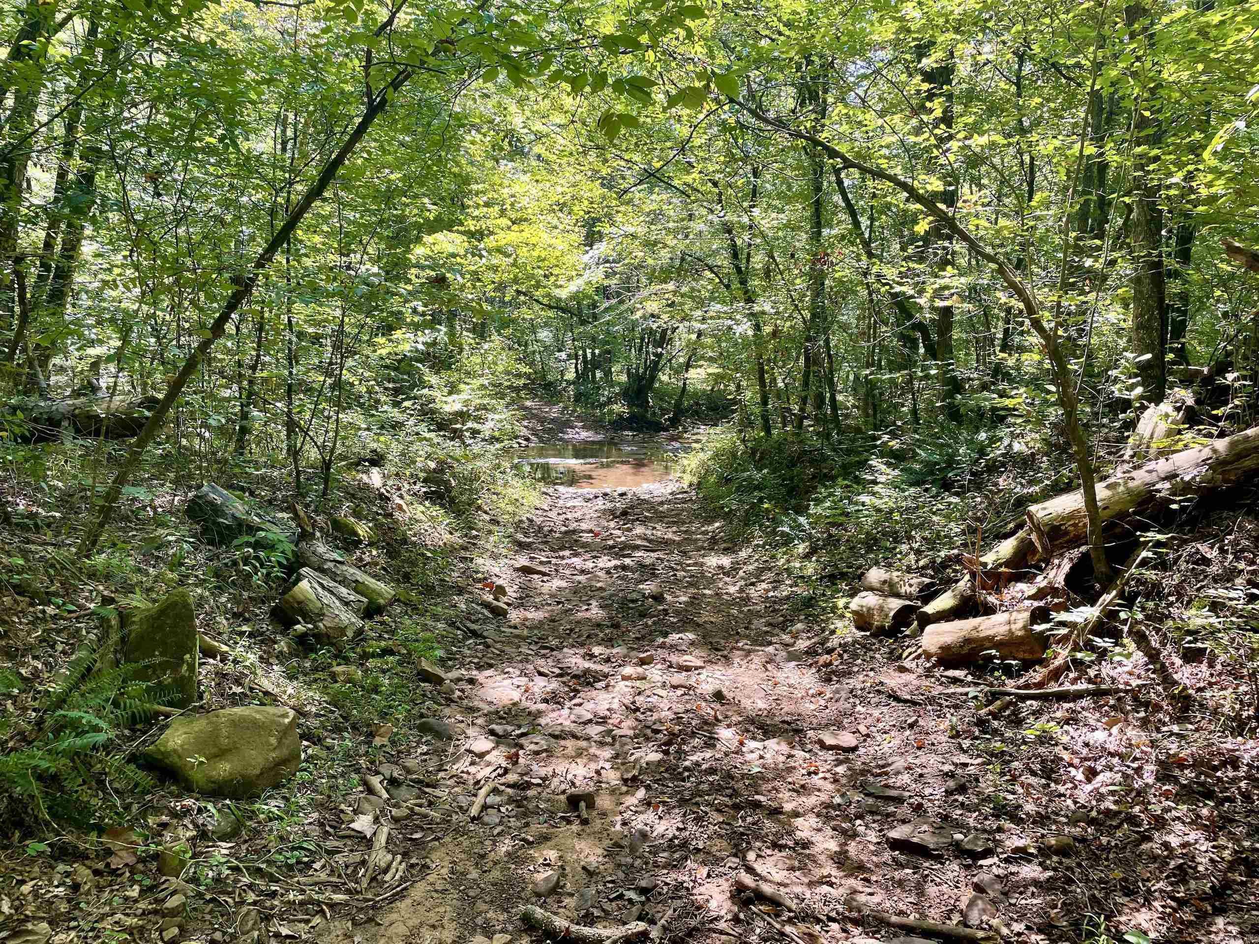  FS Road 1432  Scotland, AR