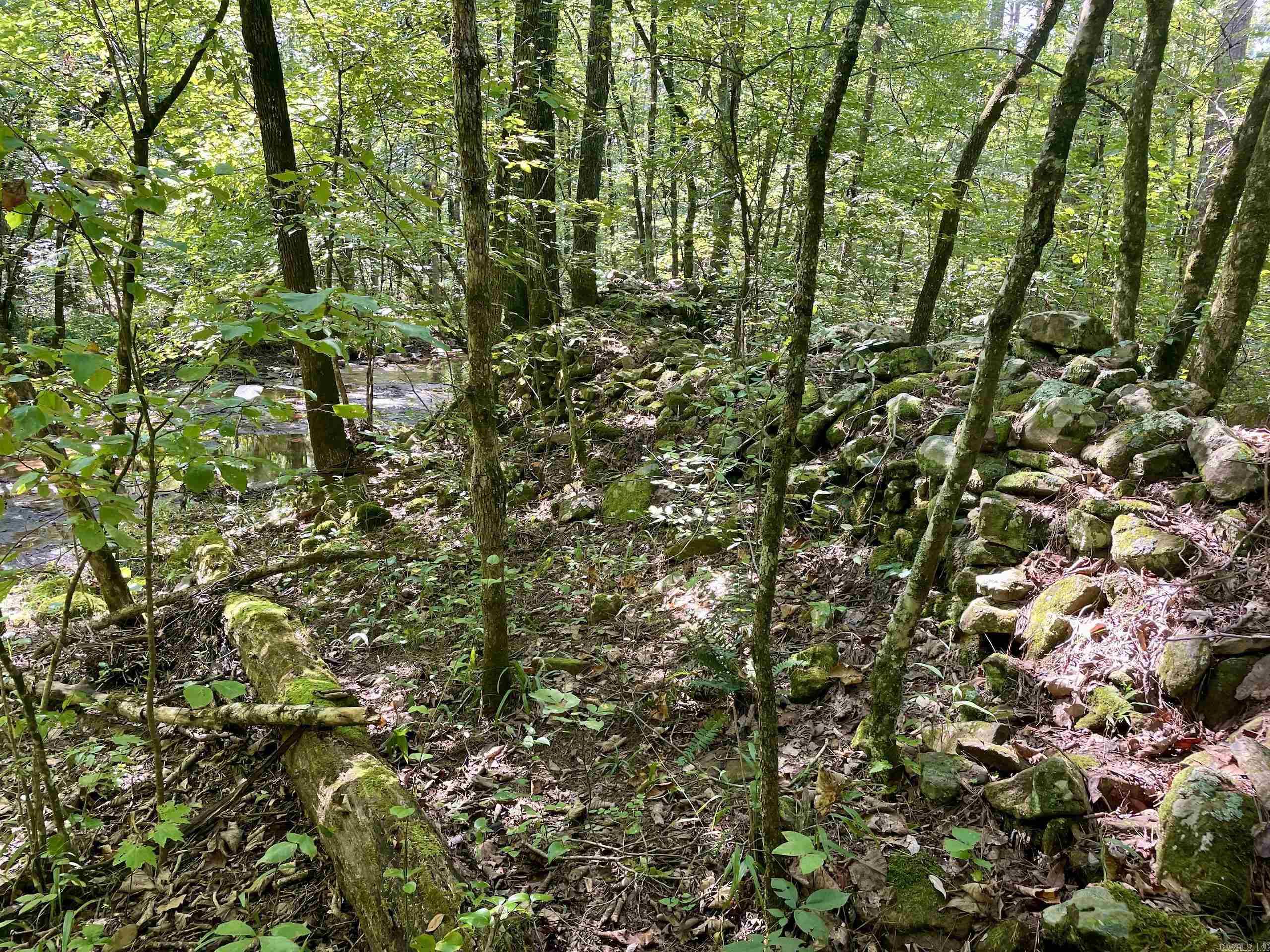 FS Road 1432  Scotland, AR
