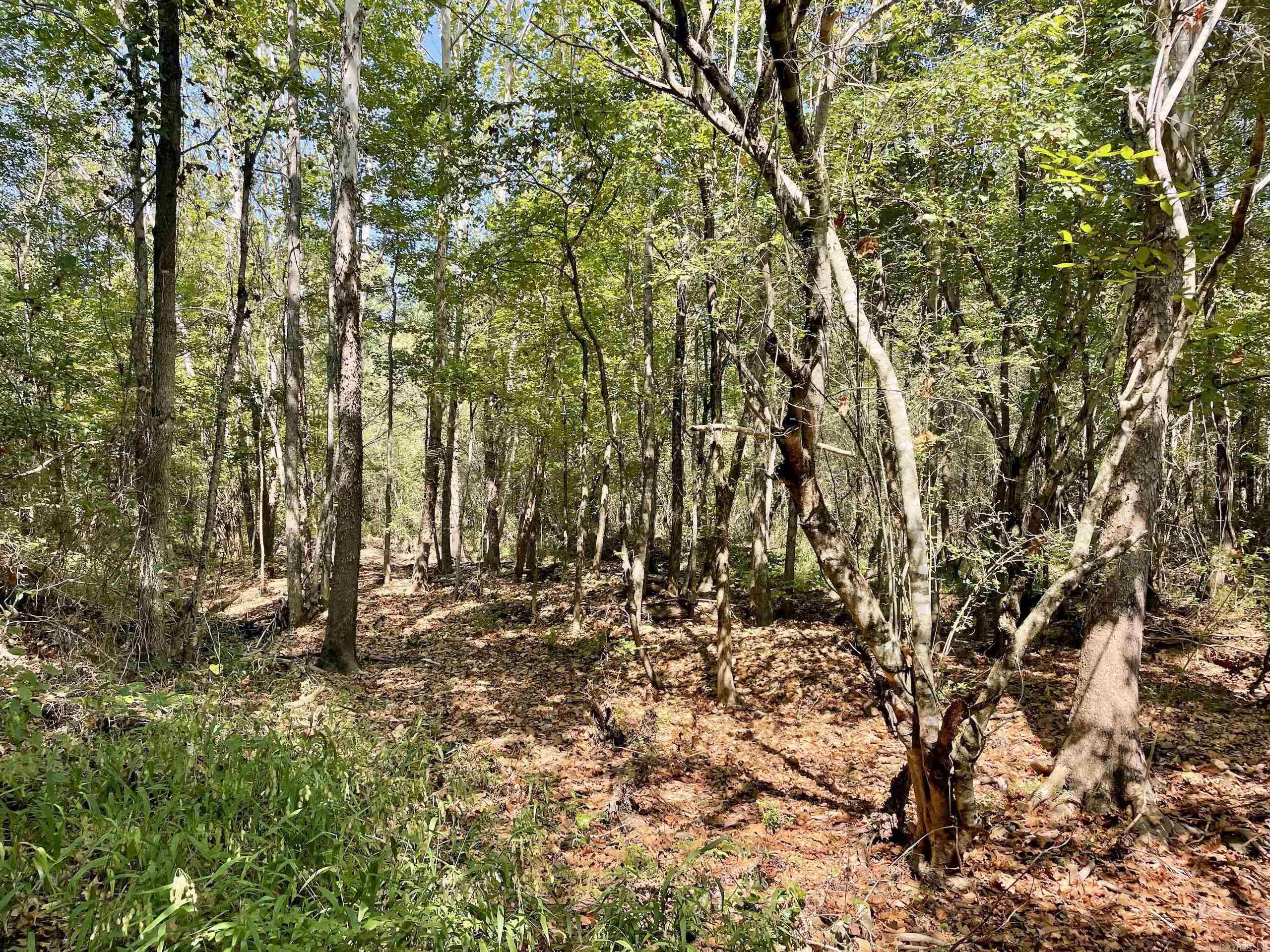 000 Brownsville Road  Higden, AR