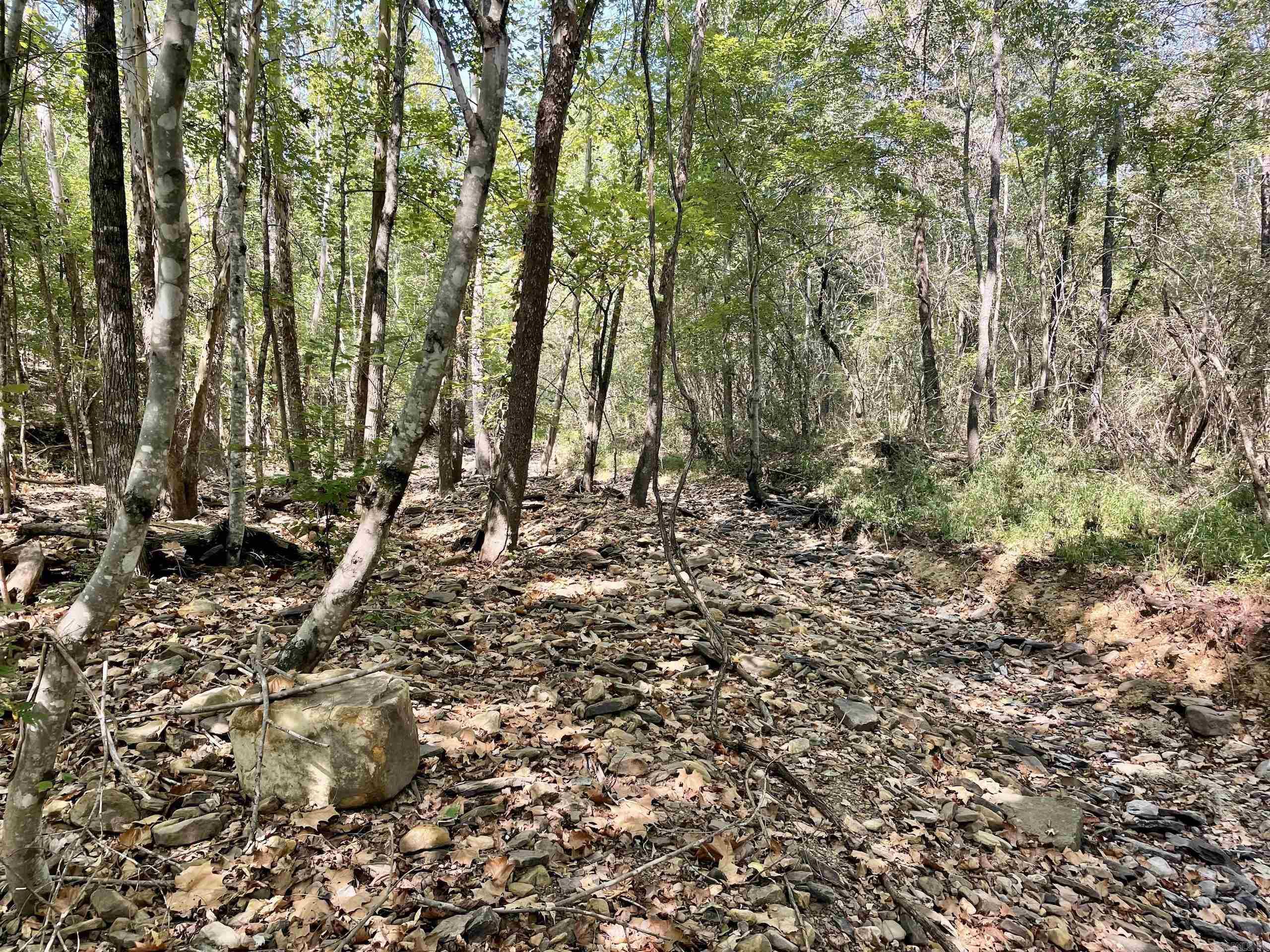 000 Brownsville Road  Higden, AR