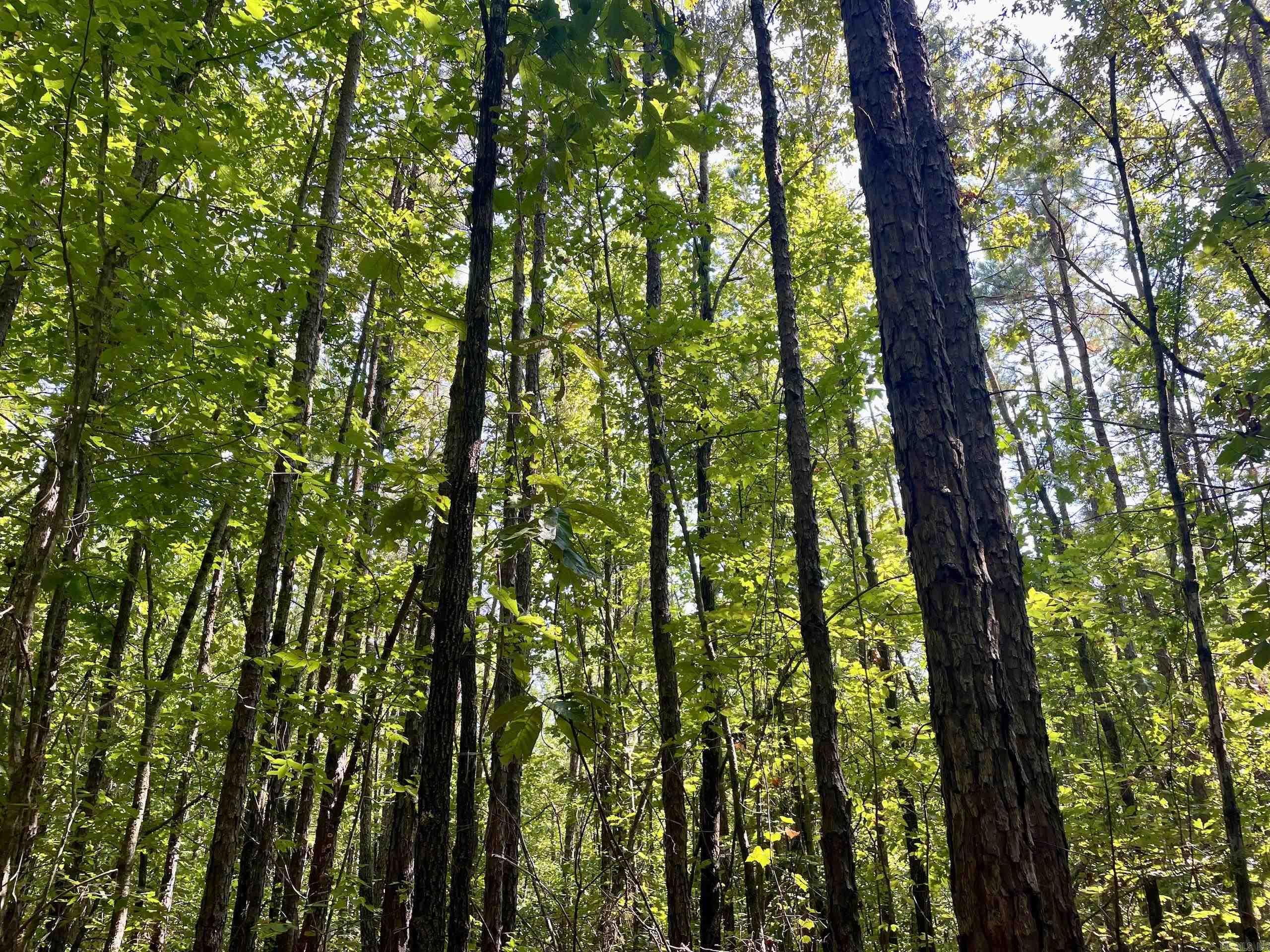 000 Brownsville Road  Higden, AR