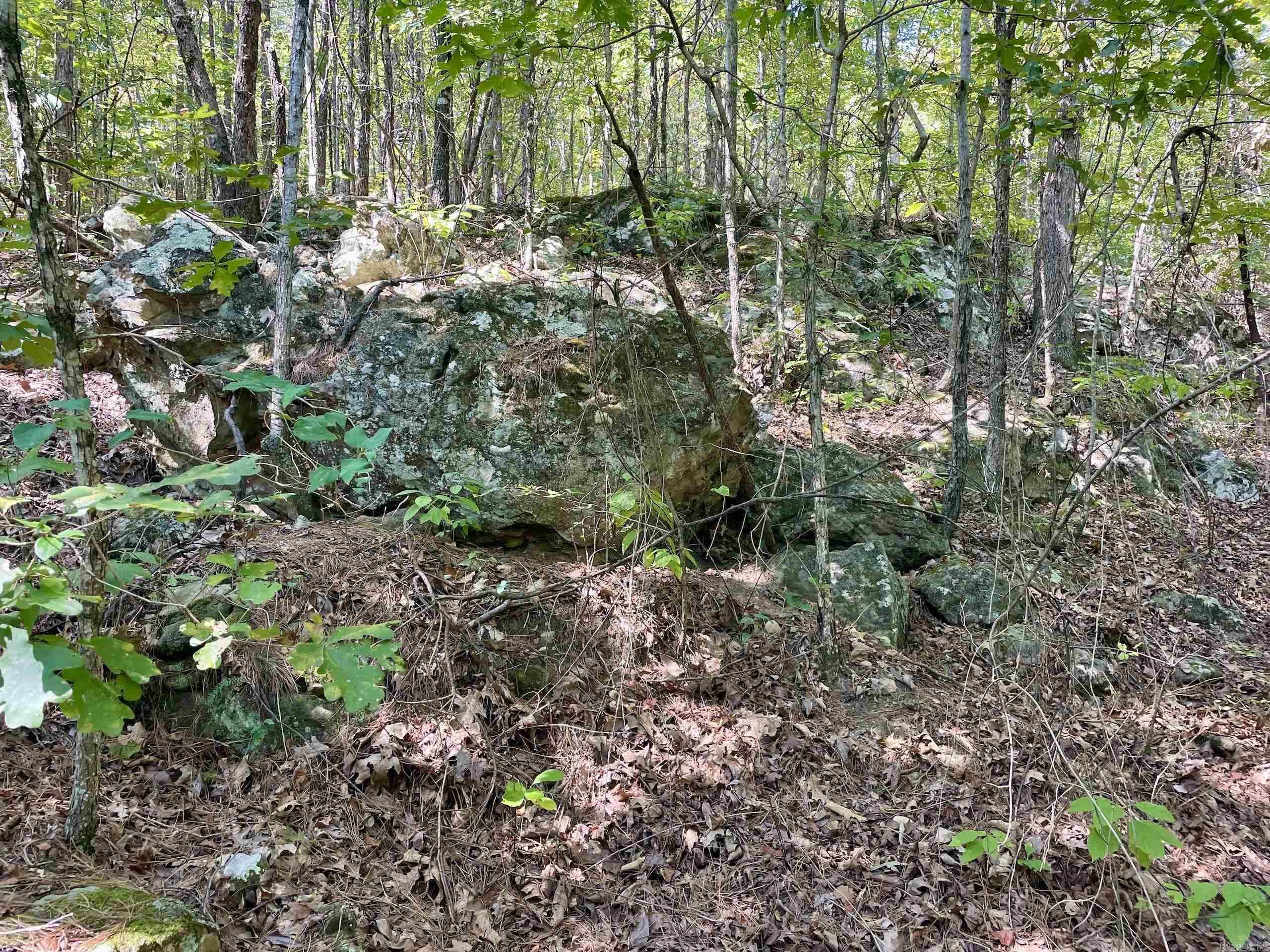 000 Brownsville Road  Higden, AR