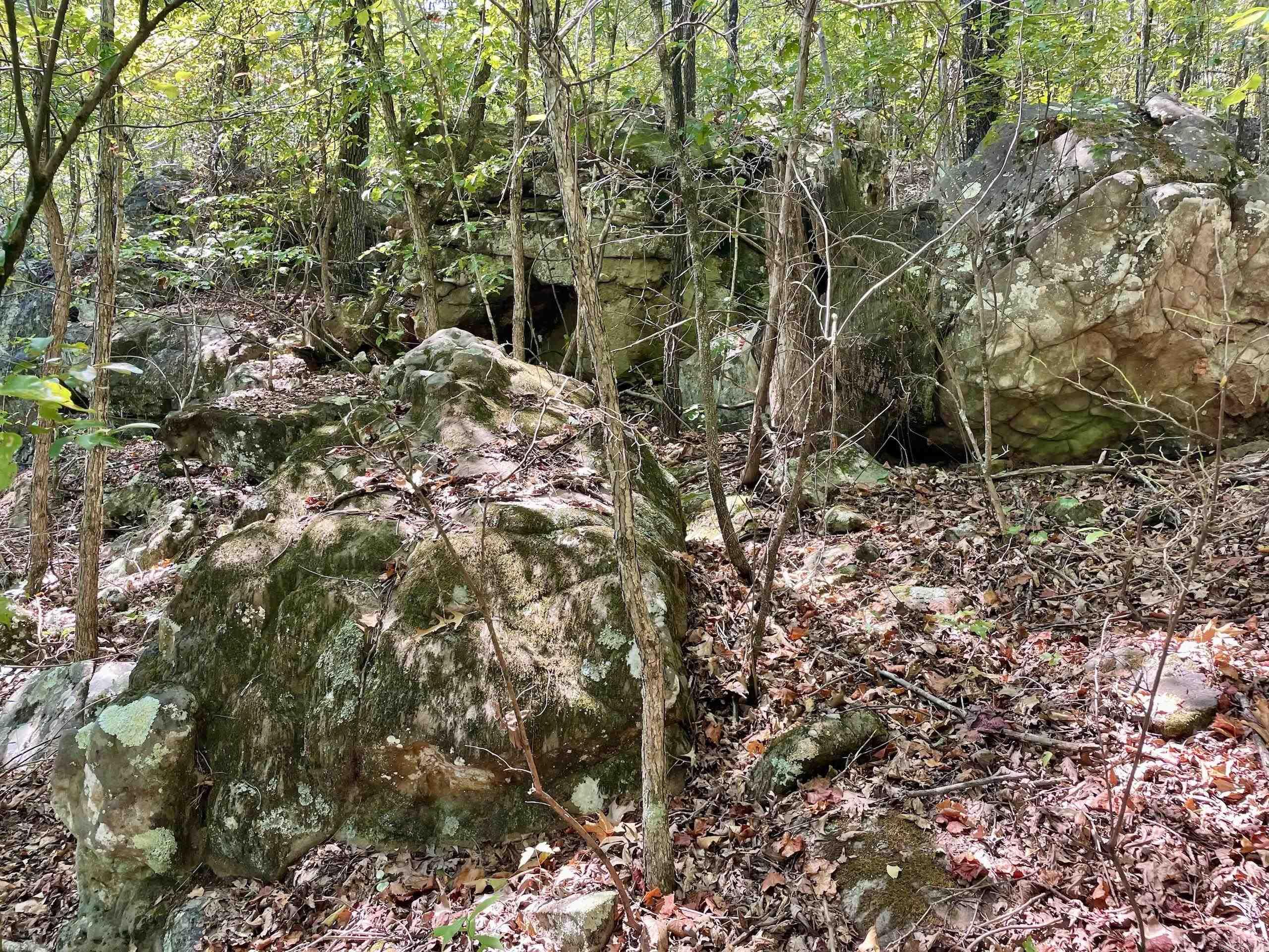 000 Brownsville Road  Higden, AR