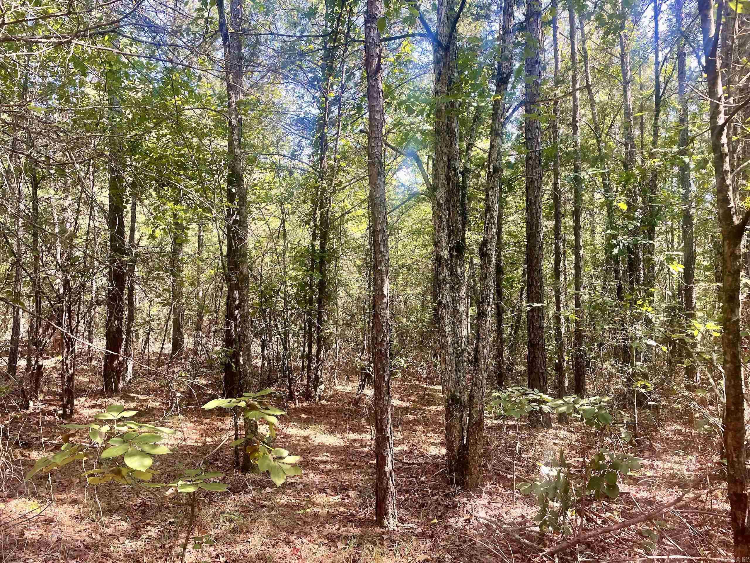 000 Brownsville Road  Higden, AR
