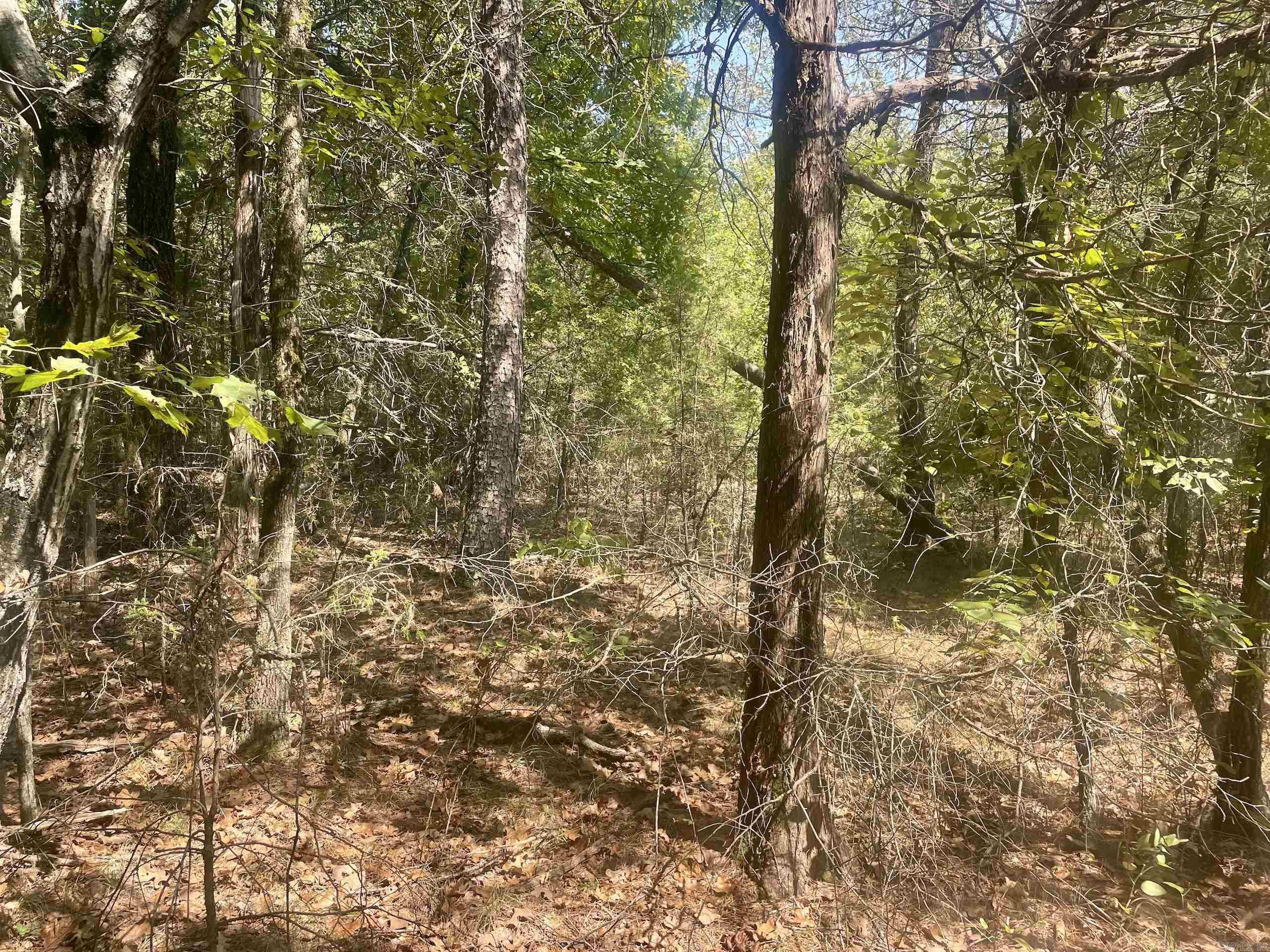 000 Brownsville Road  Higden, AR
