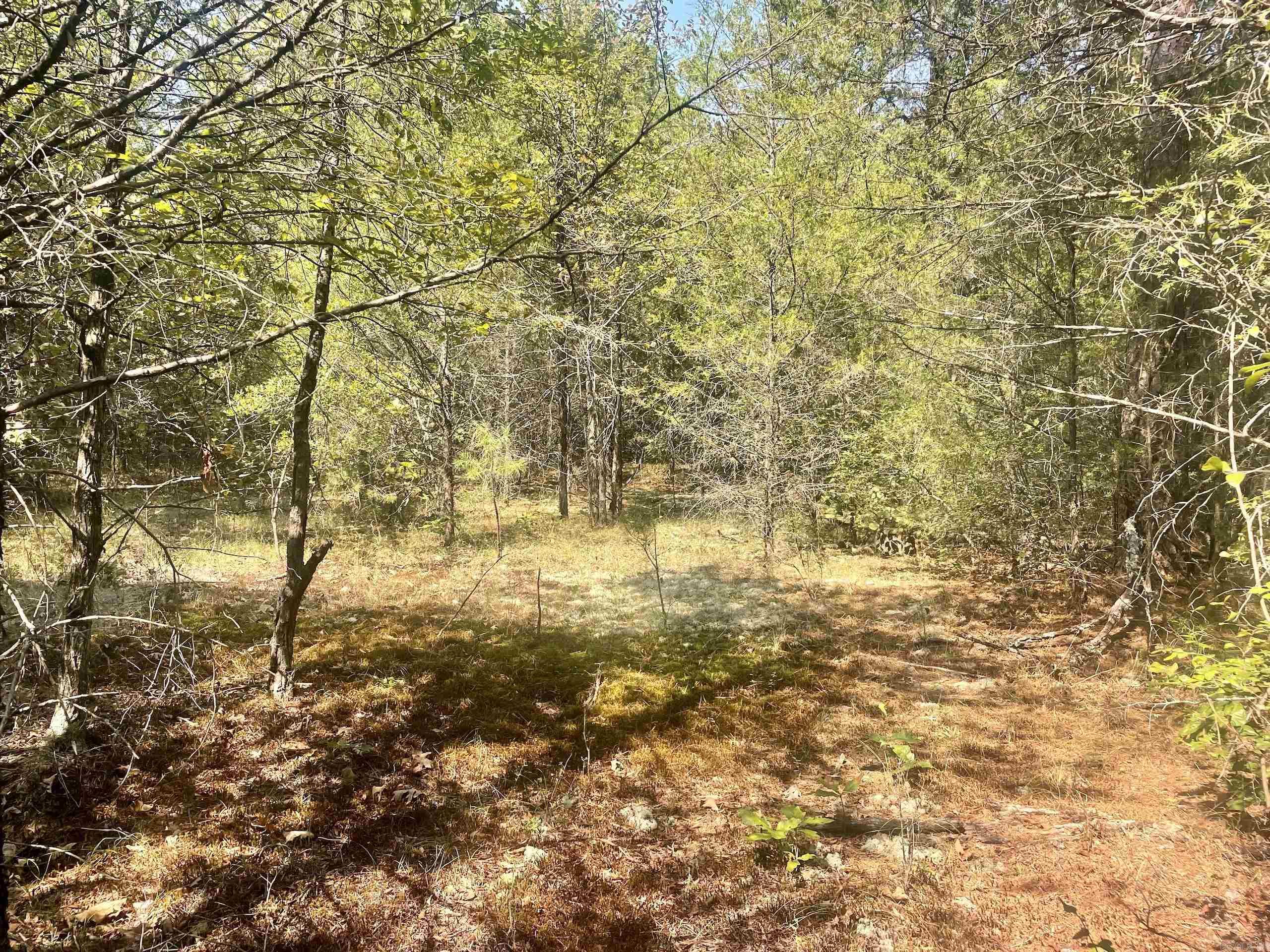 000 Brownsville Road  Higden, AR