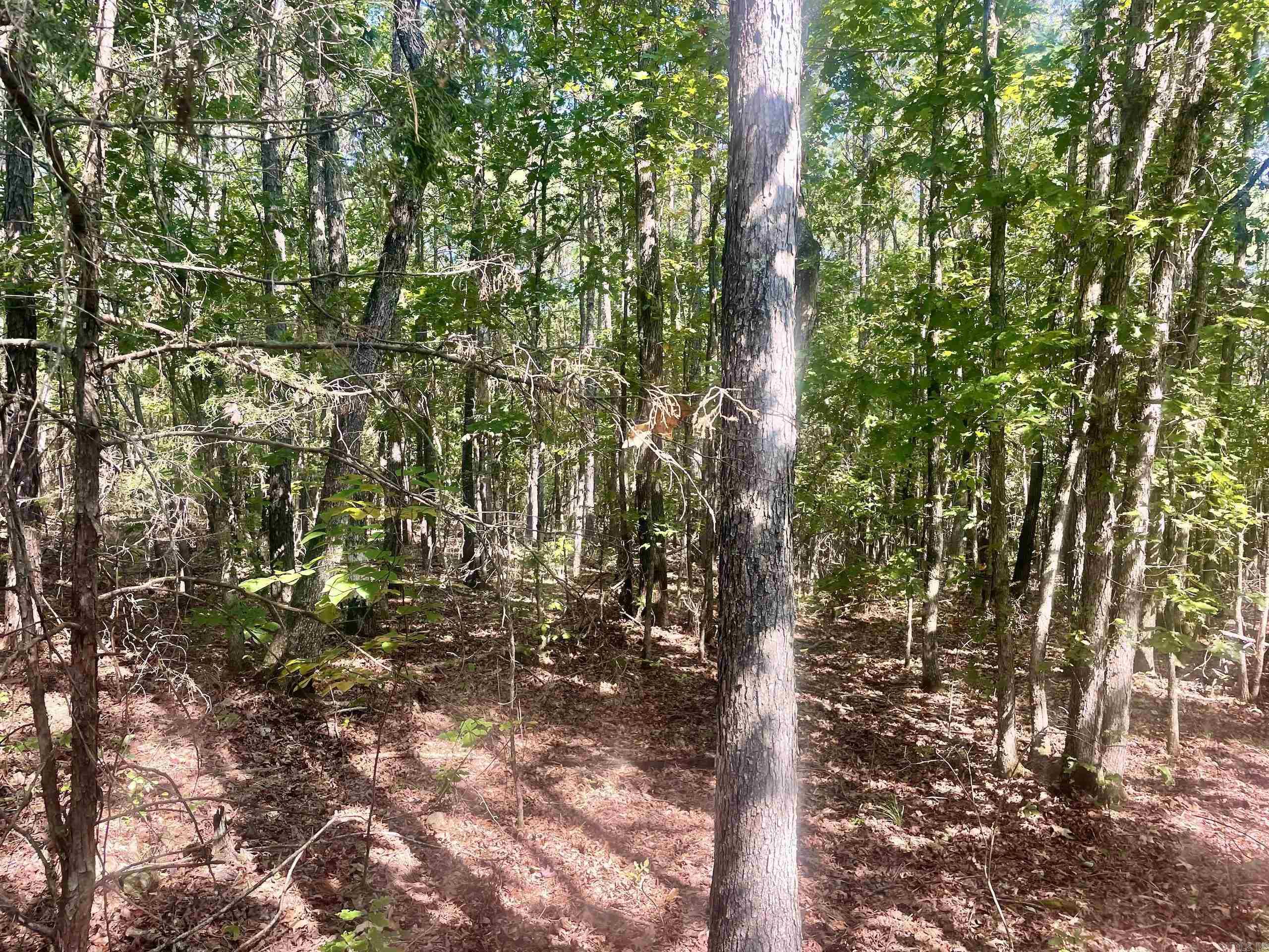 000 Brownsville Road  Higden, AR