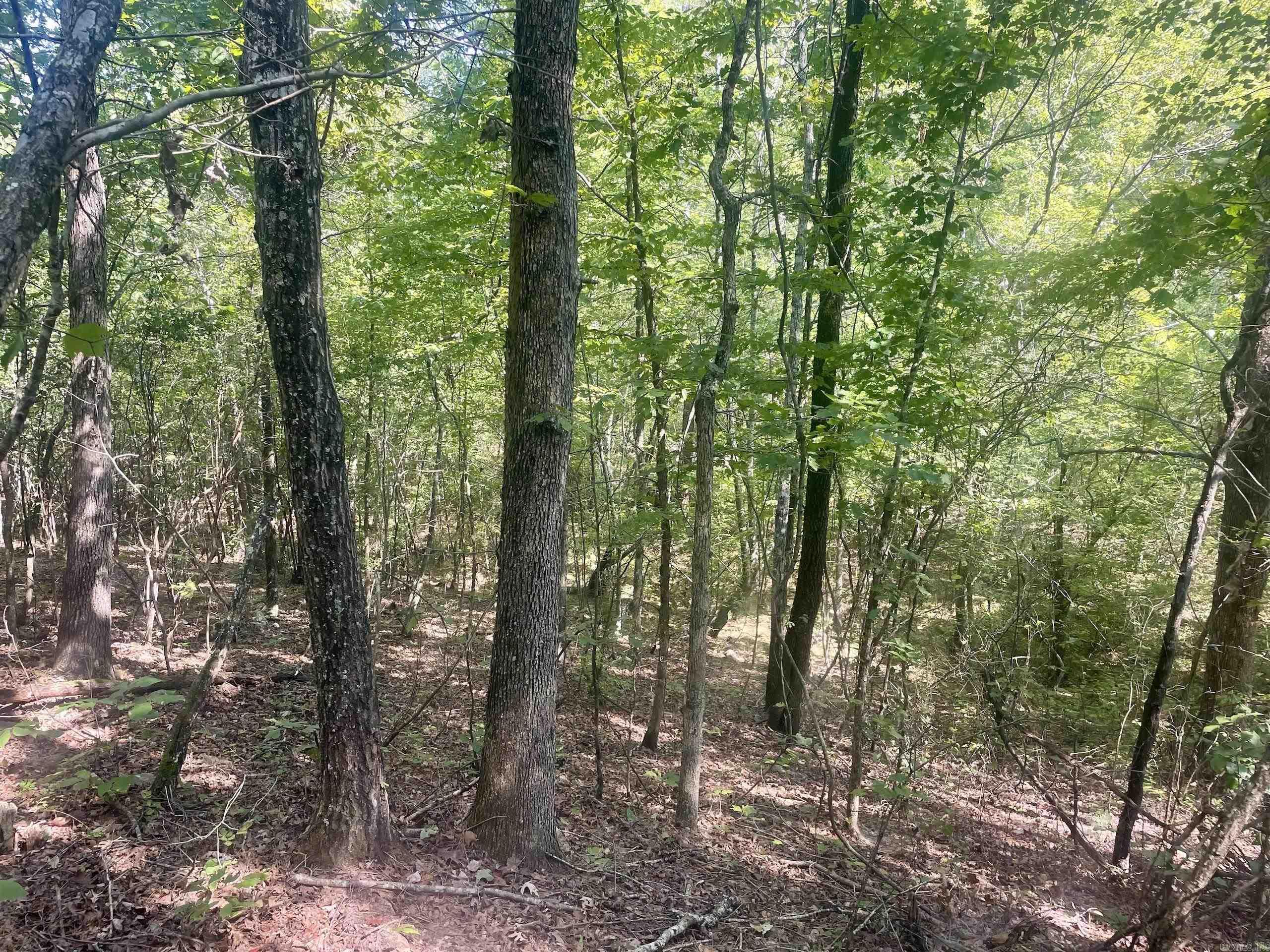 000 Brownsville Road  Higden, AR