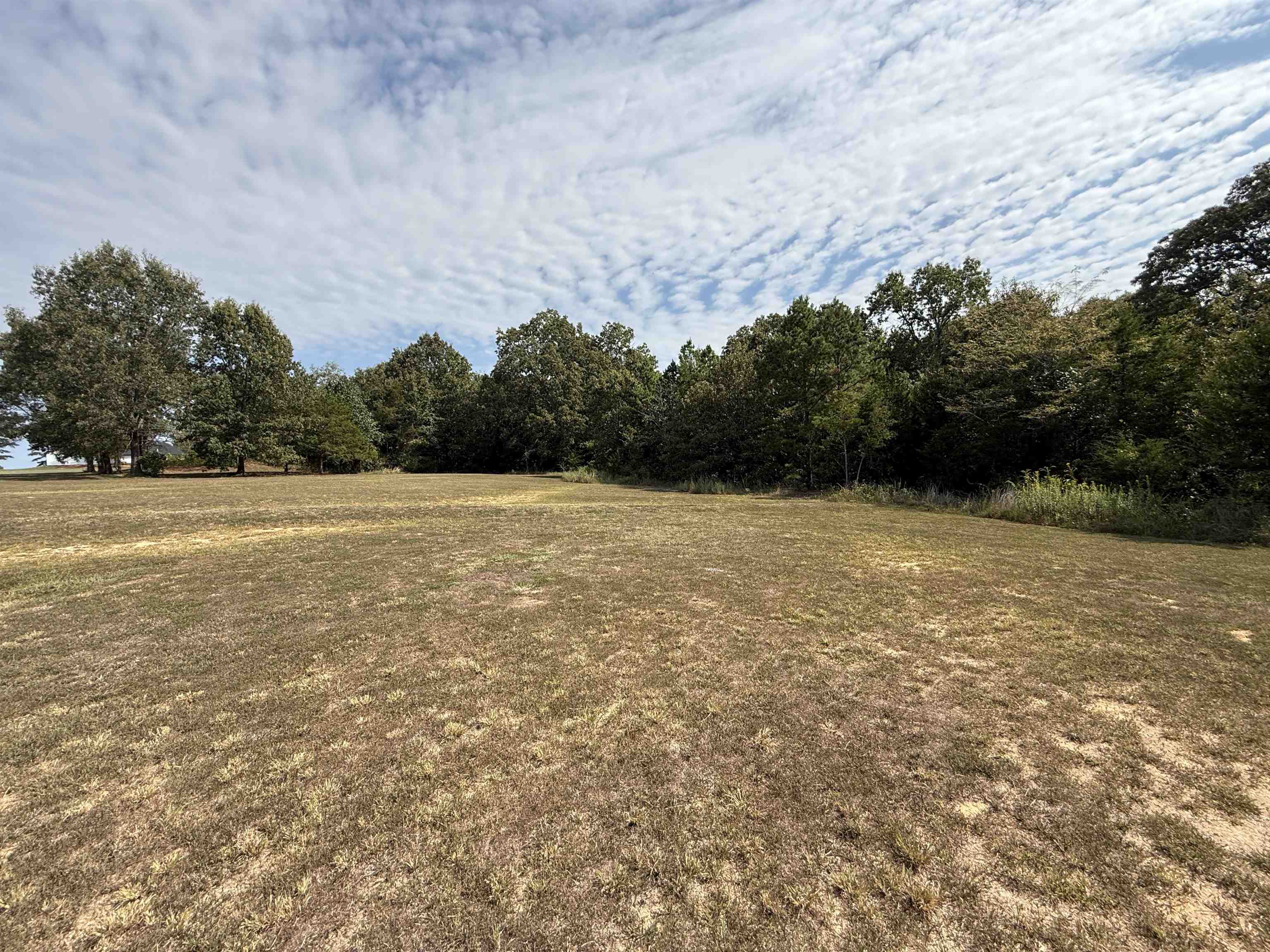 840 Sage Meadow Lane  Sage, AR