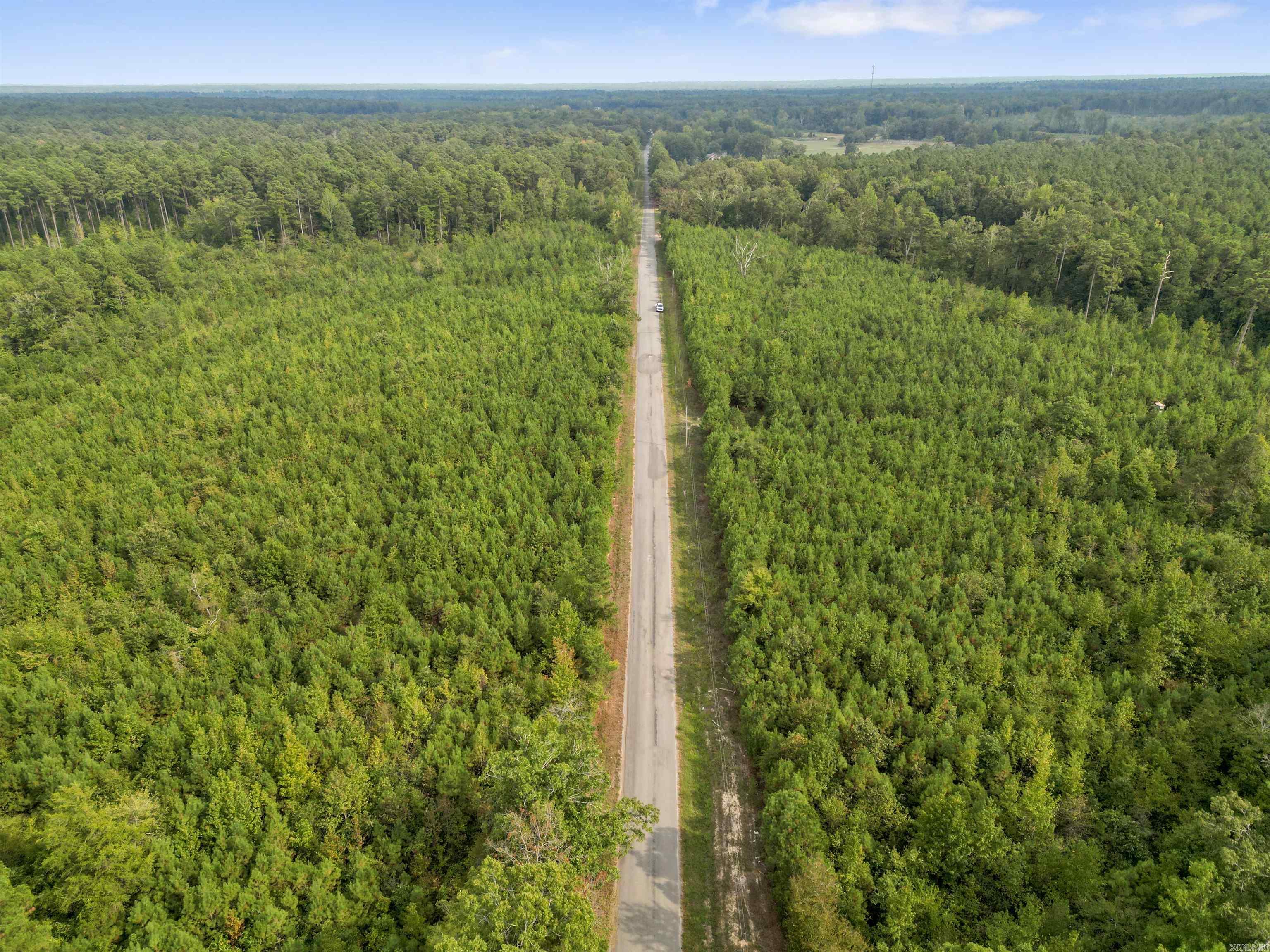000 Dunkeffie Road  Rison, AR