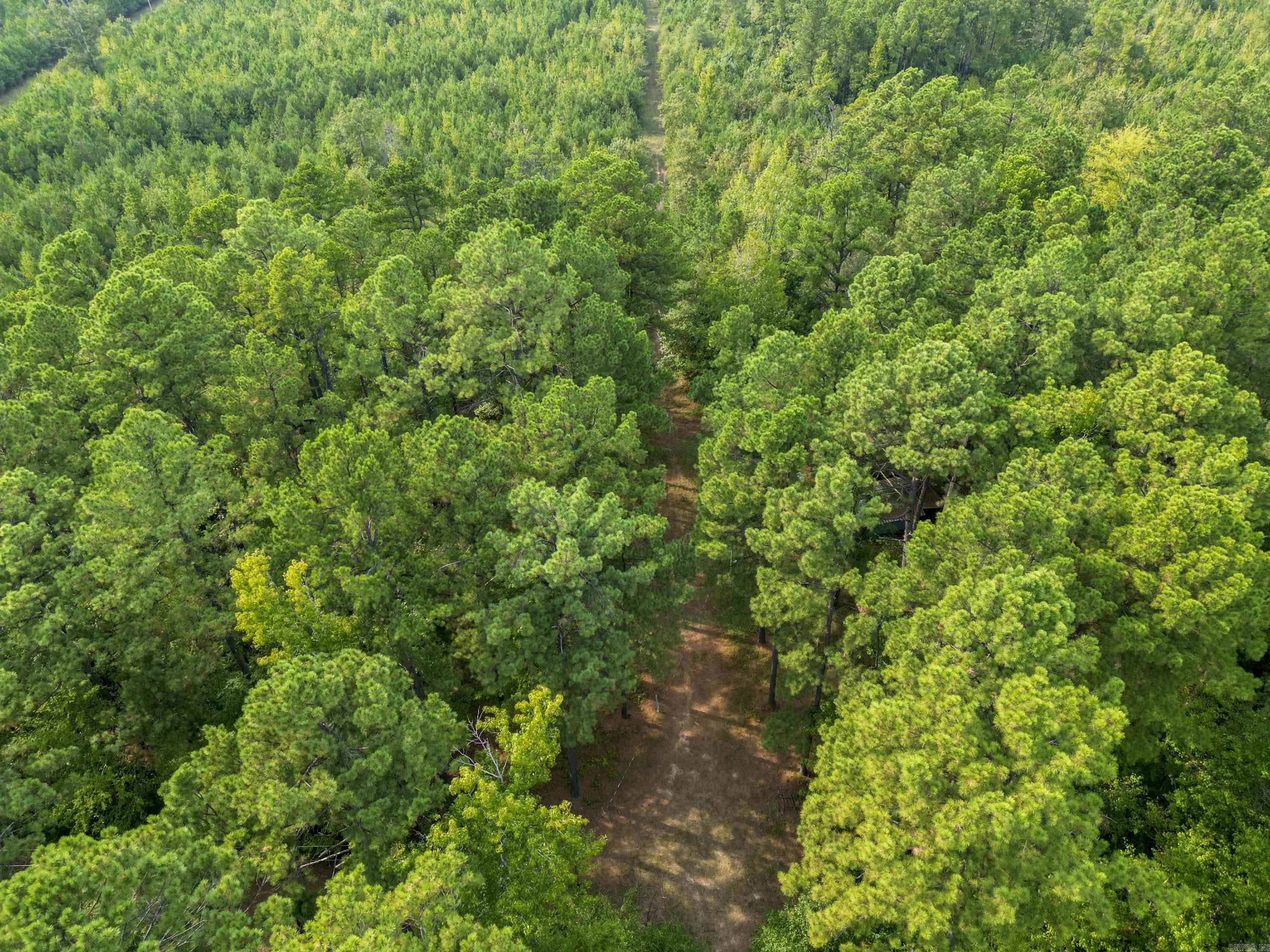 000 Dunkeffie Road  Rison, AR