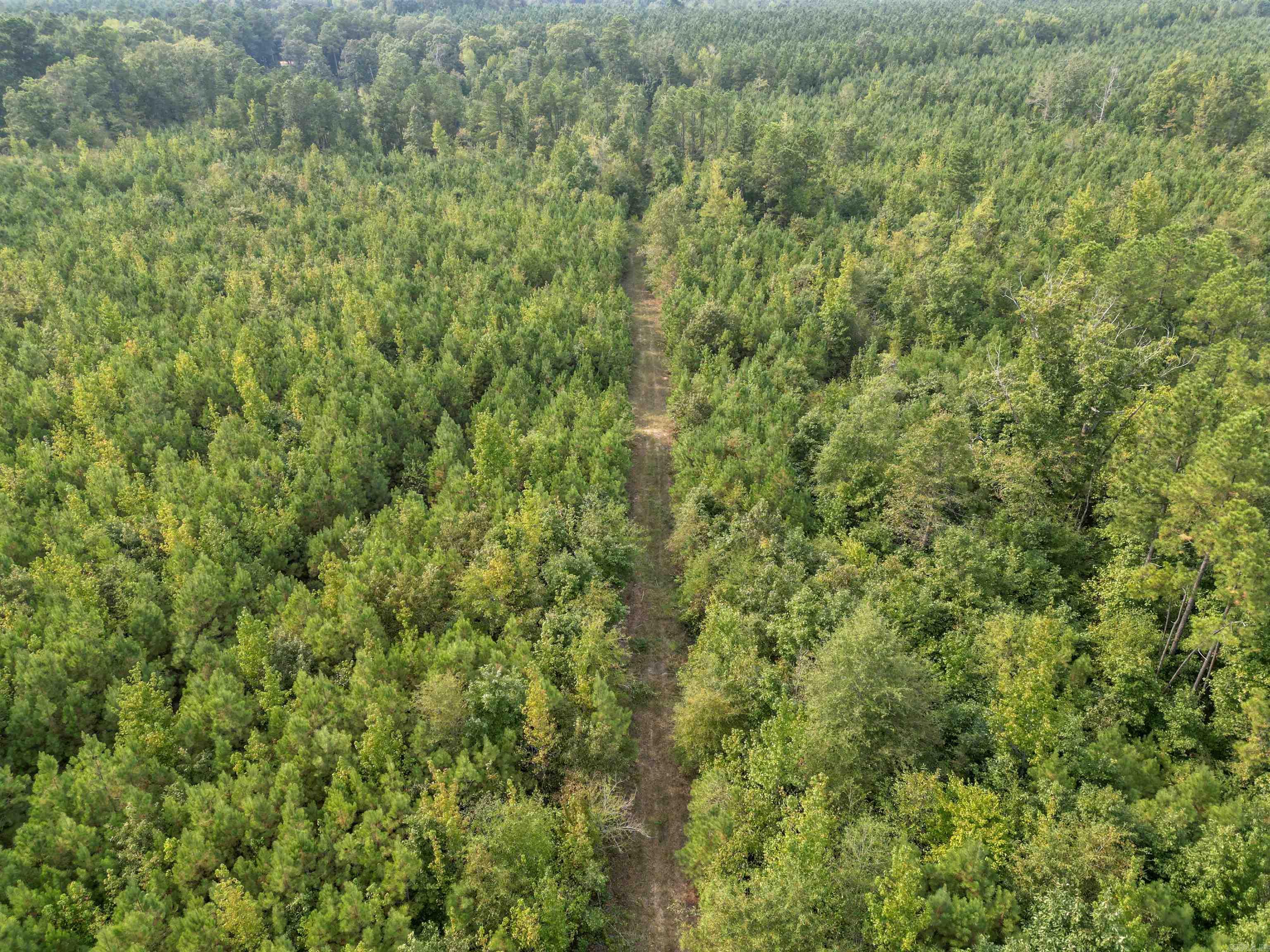 000 Dunkeffie Road  Rison, AR