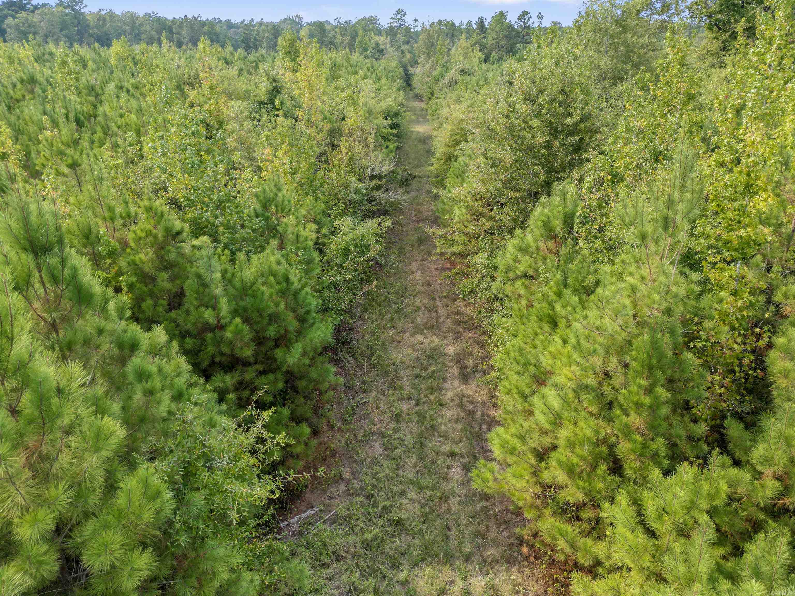 000 Dunkeffie Road  Rison, AR