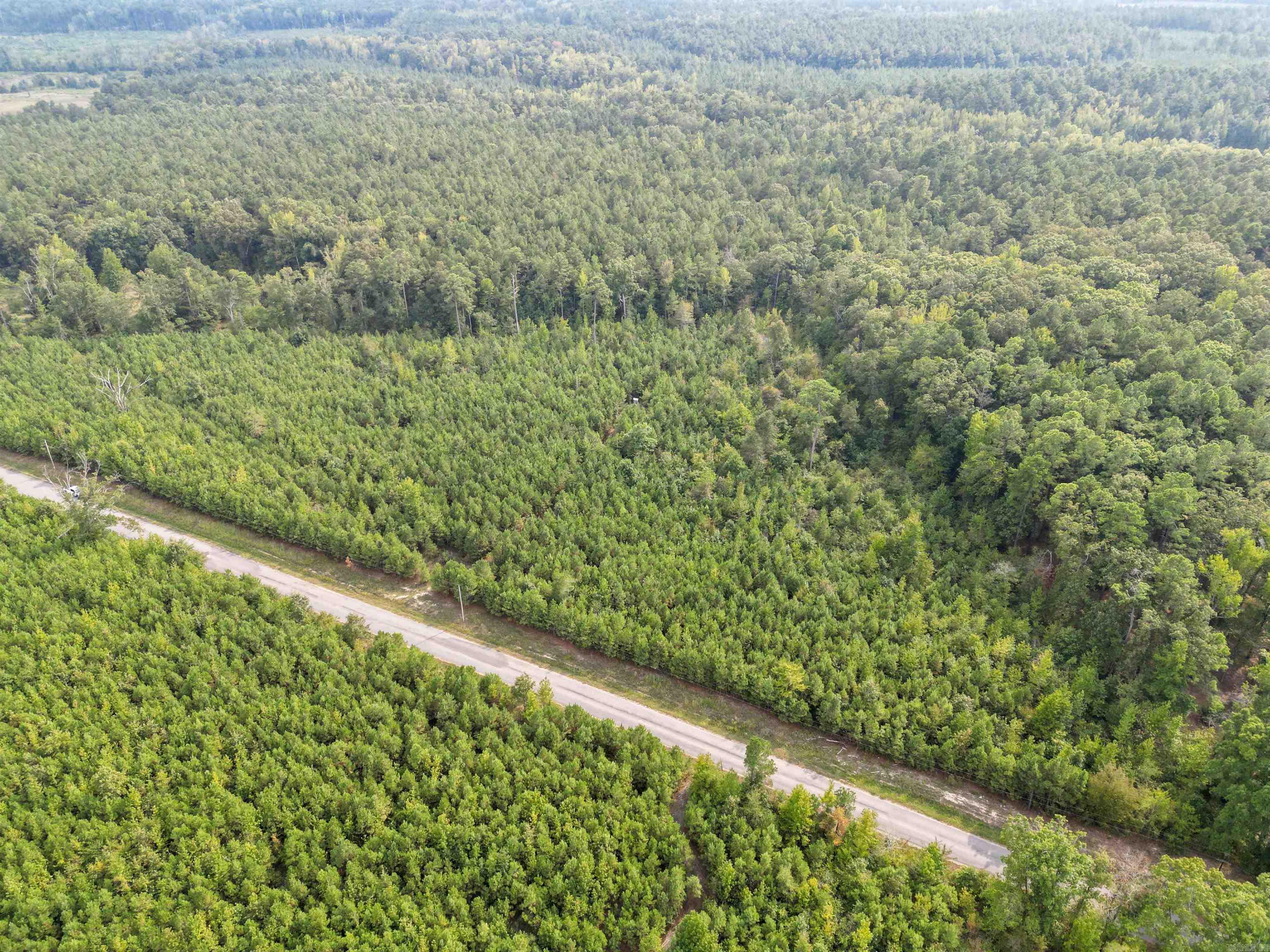 000 Dunkeffie Road  Rison, AR
