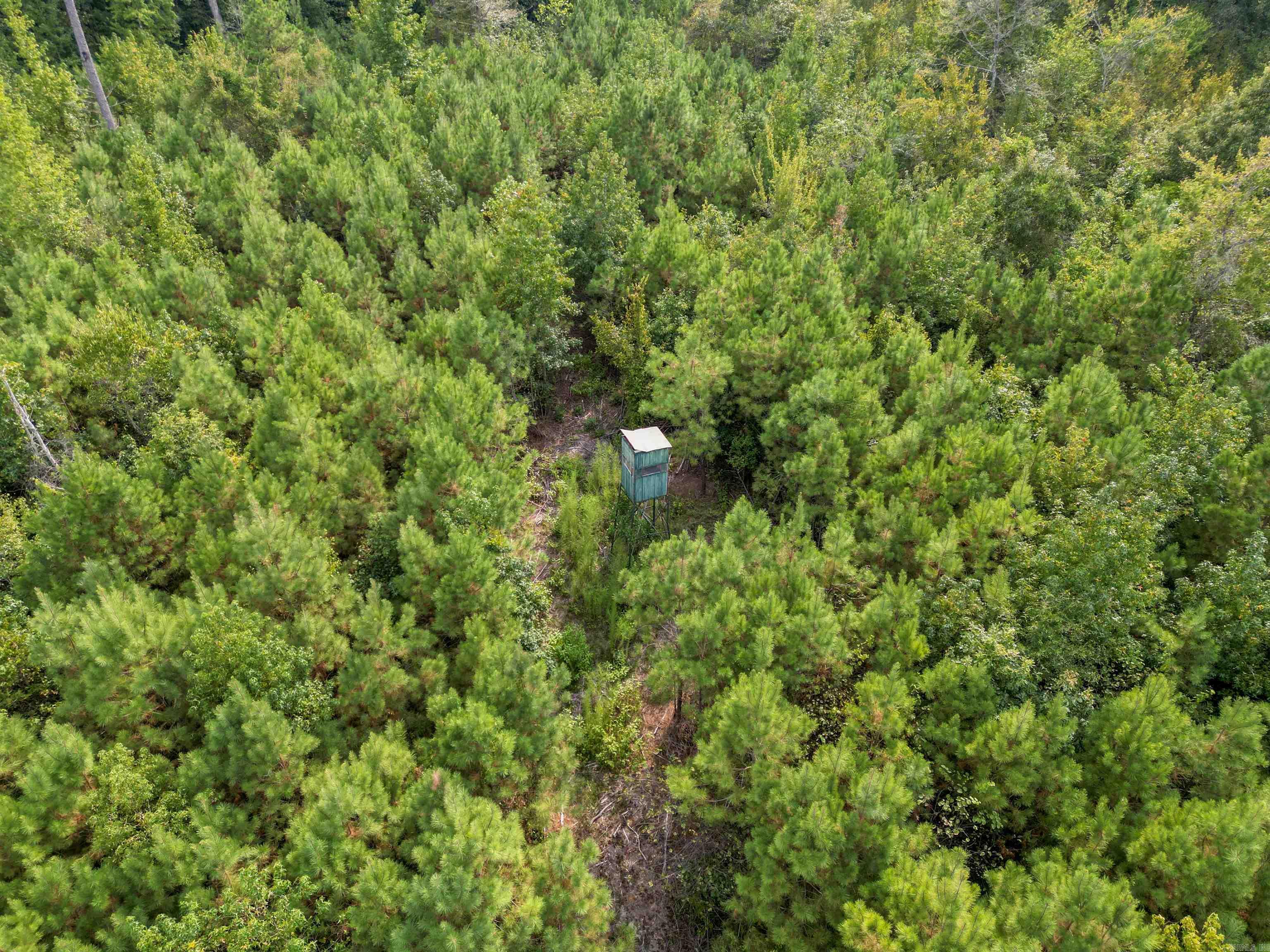 000 Dunkeffie Road  Rison, AR