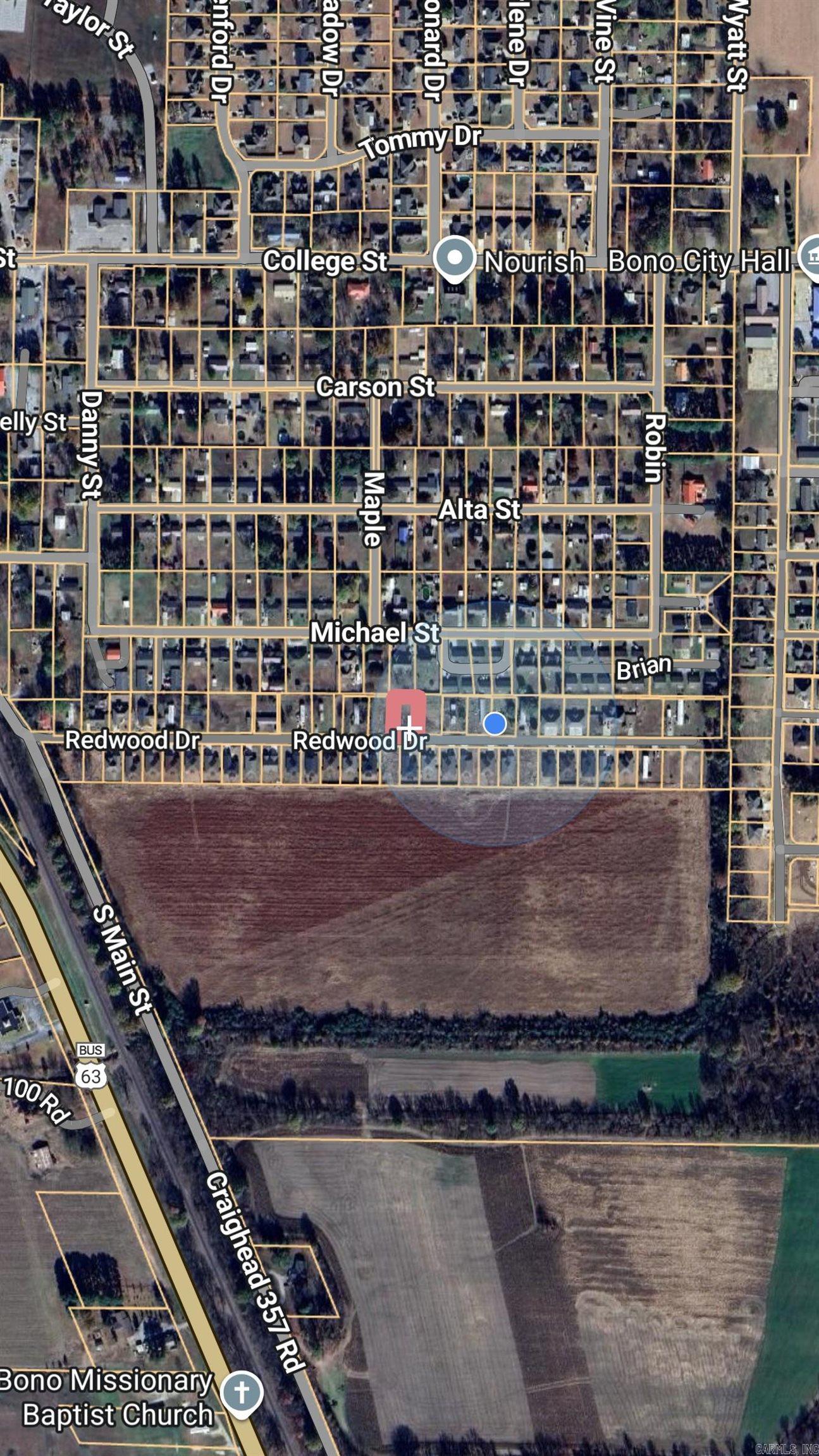130 Redwood  Bono, AR